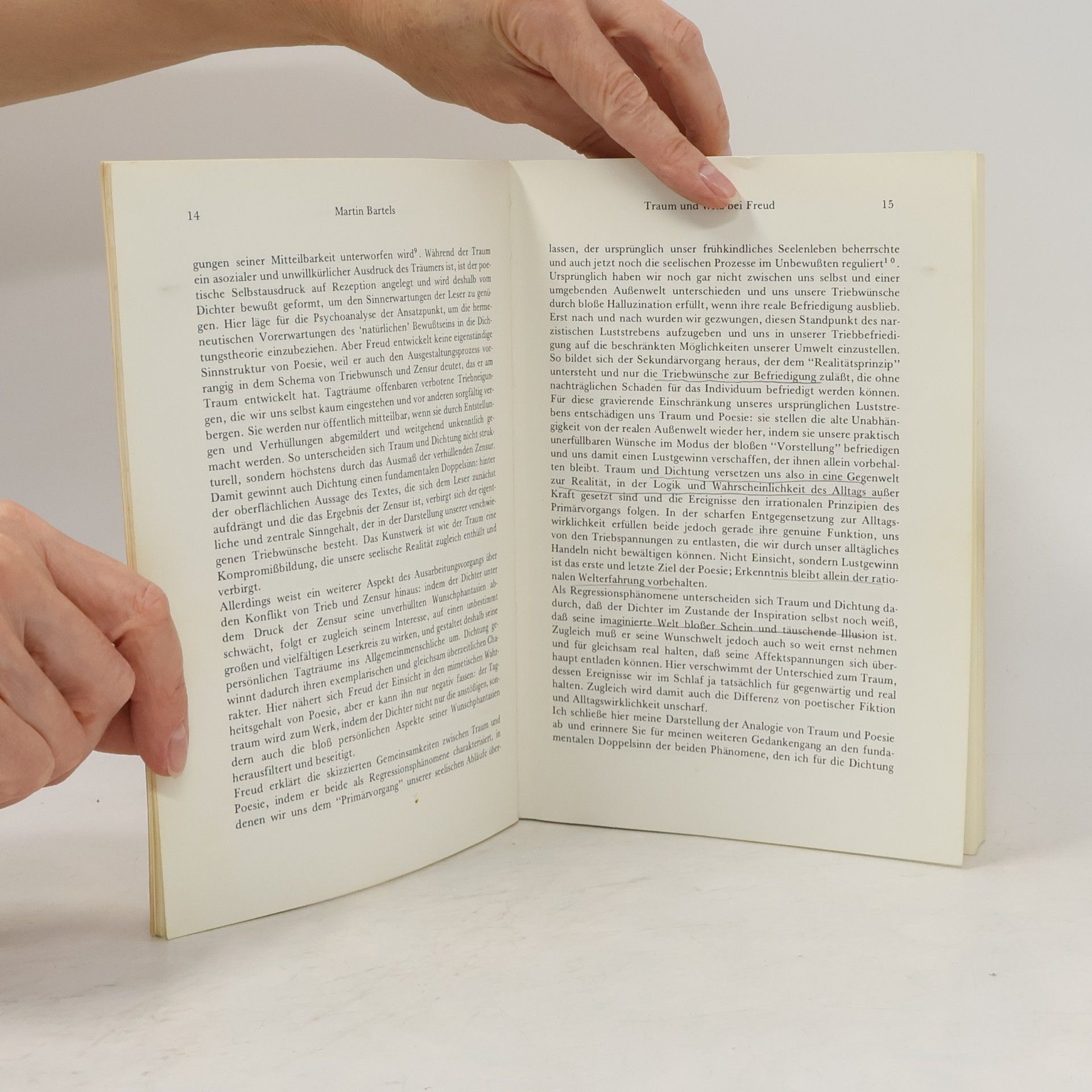 Friedrich Schmöe Text & Kontext - 10: Literatur und Psychoanalyse