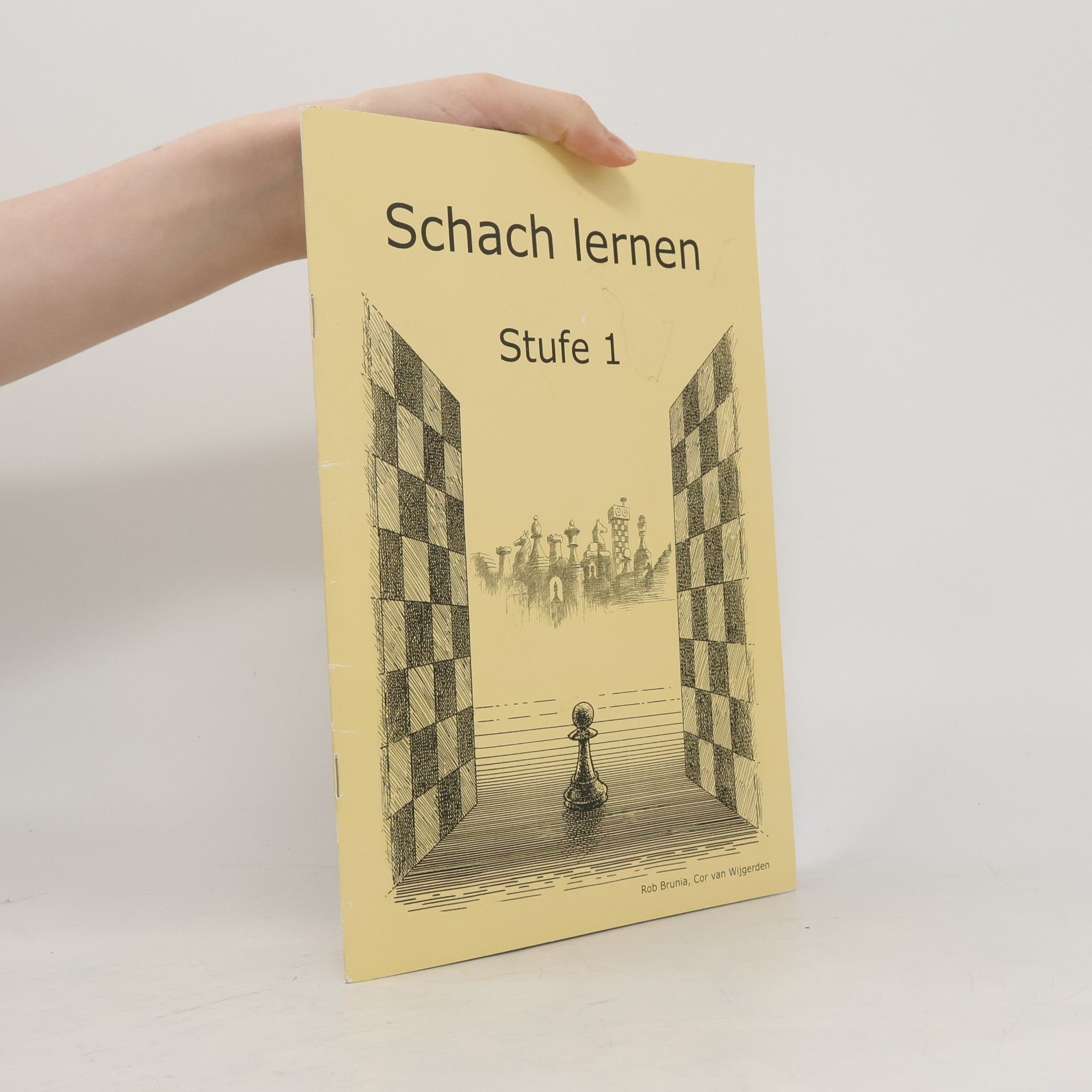 Schach lernen. Stufe 1