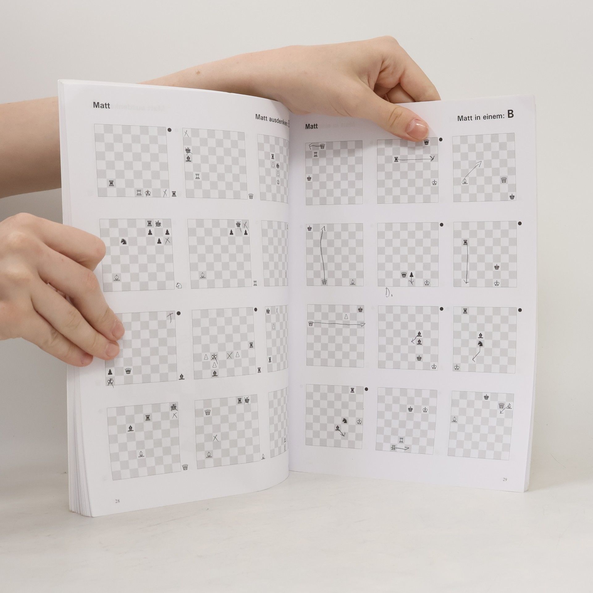 Cor van Wijgerden Schach lernen. Stufe 1