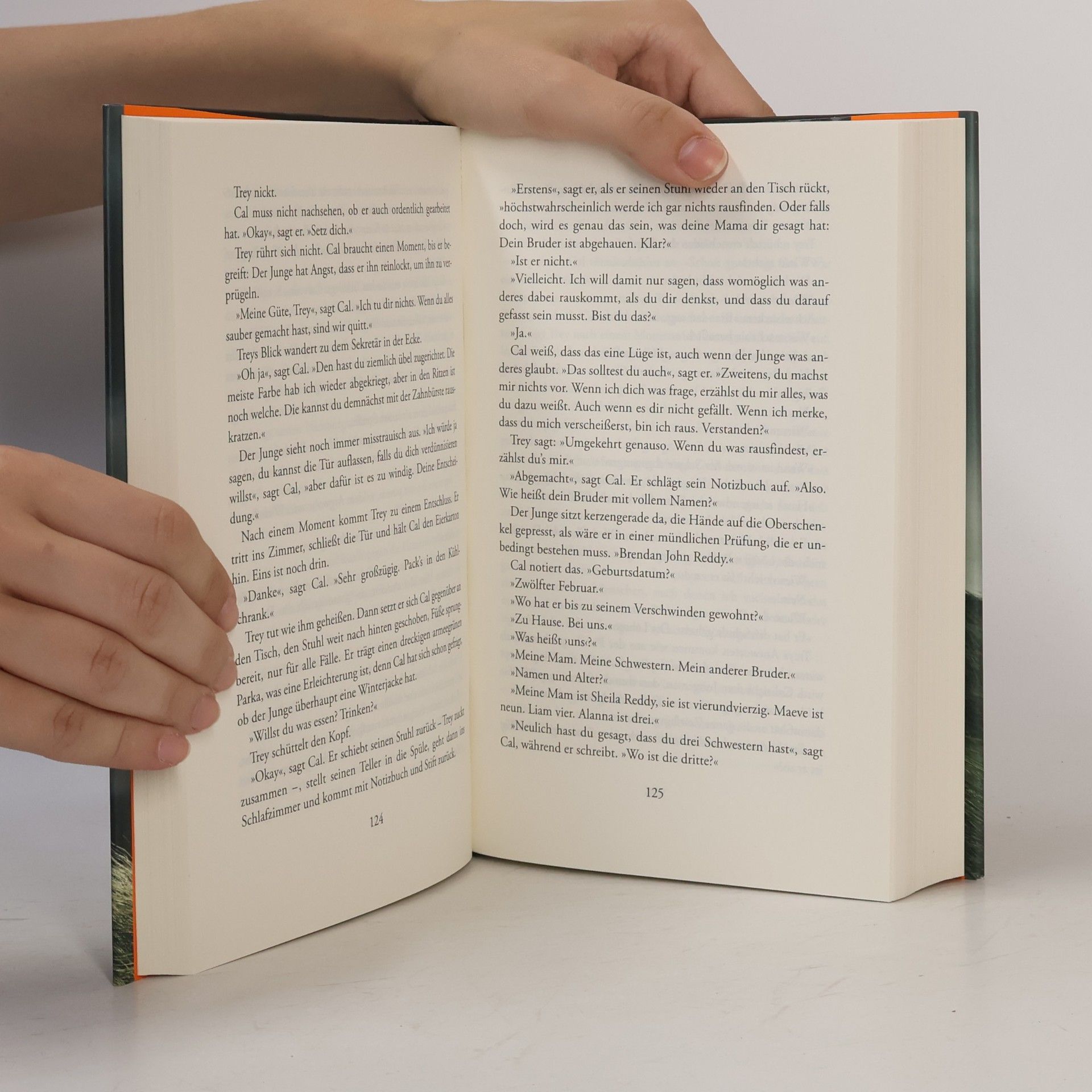 Tana French Der Sucher