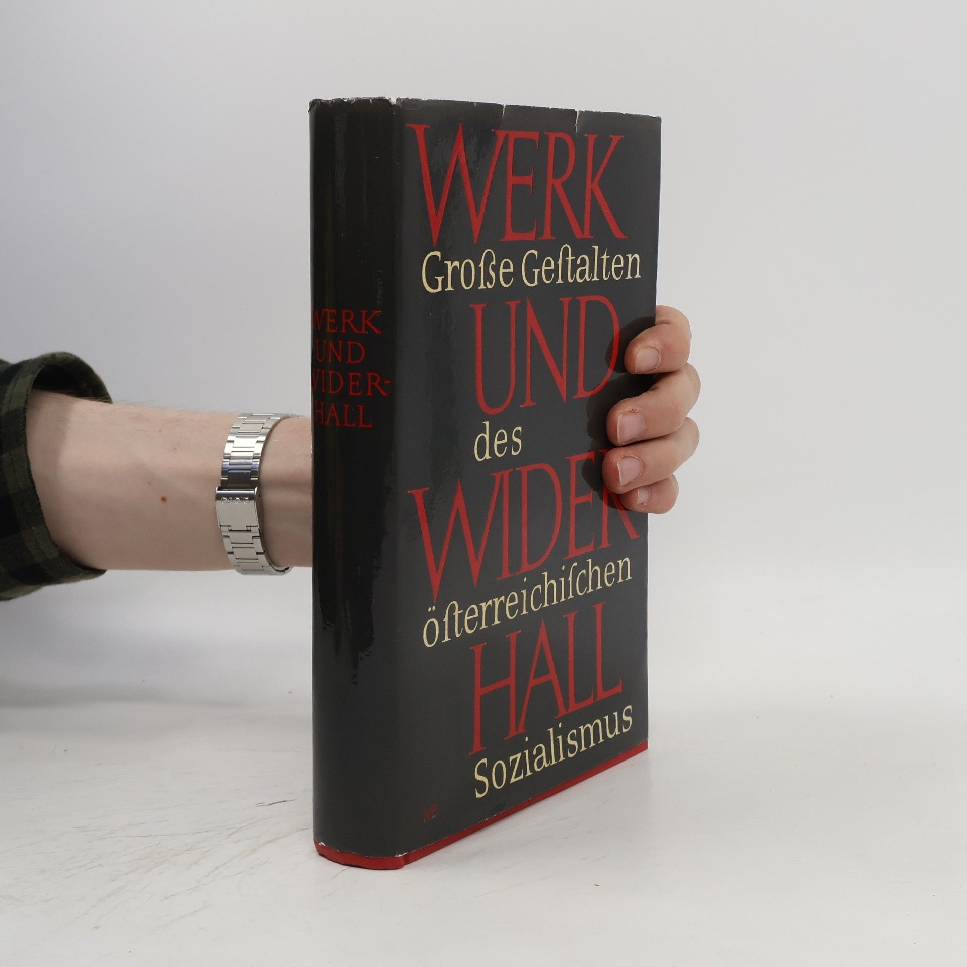 Norbert Leser Werk und Widerhall. Grosse Gestalten des österreichischen Sozialismus