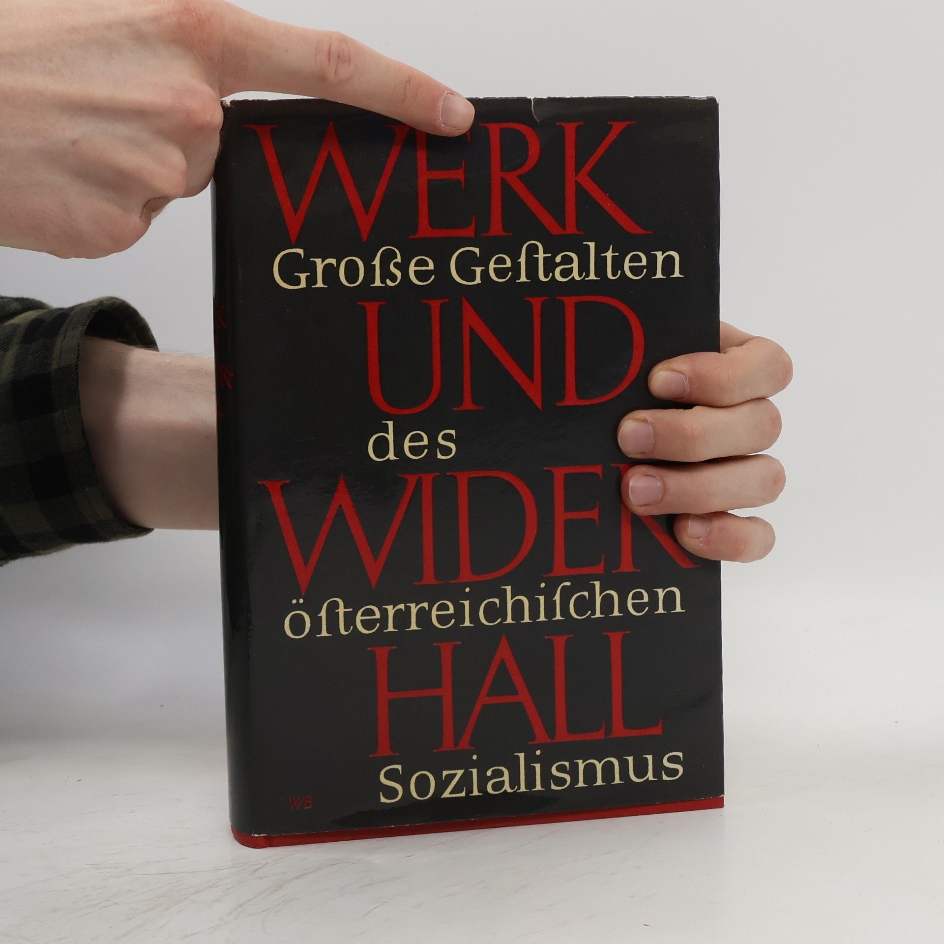 Norbert Leser Werk und Widerhall. Grosse Gestalten des österreichischen Sozialismus