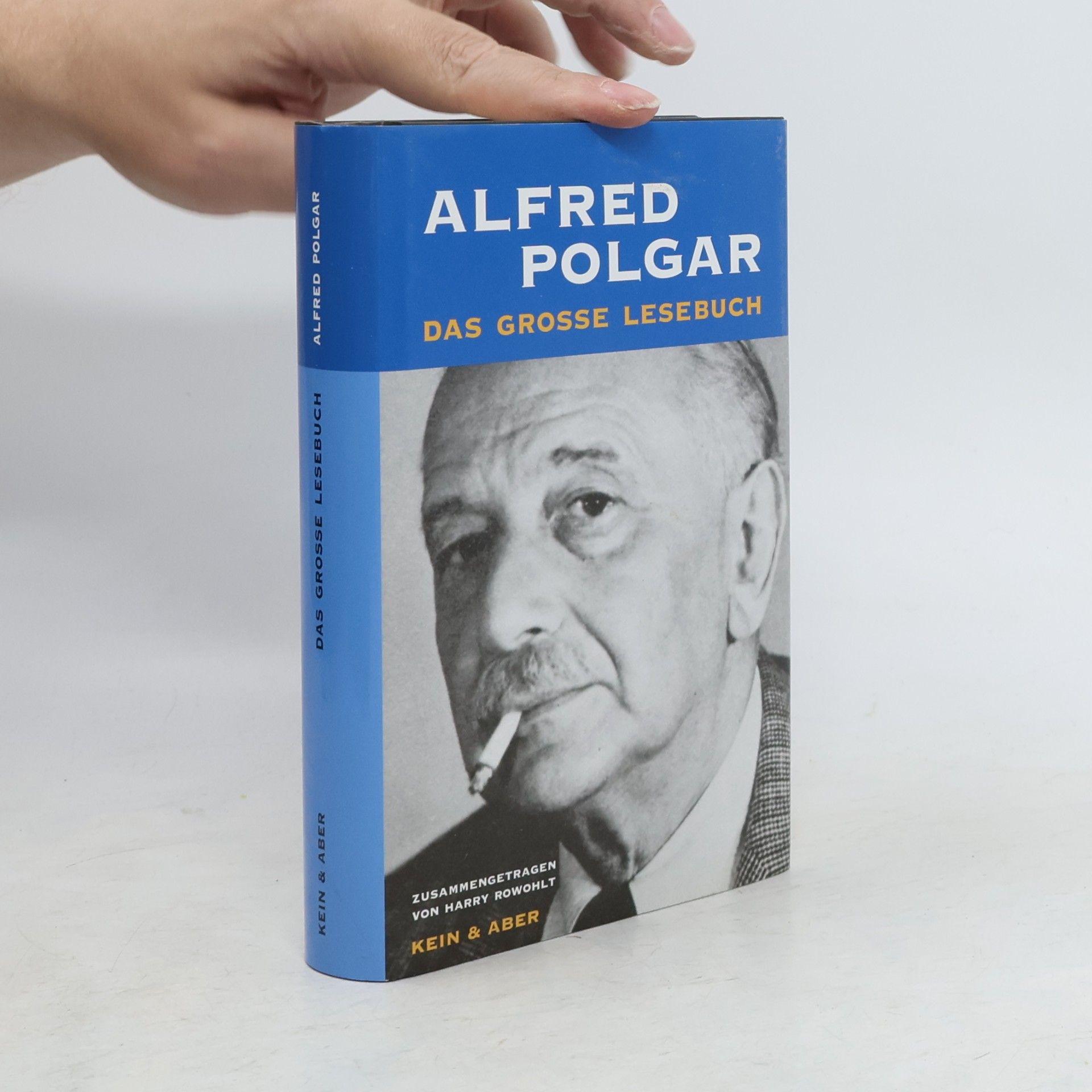 Alfred Polgar Das große Lesebuch