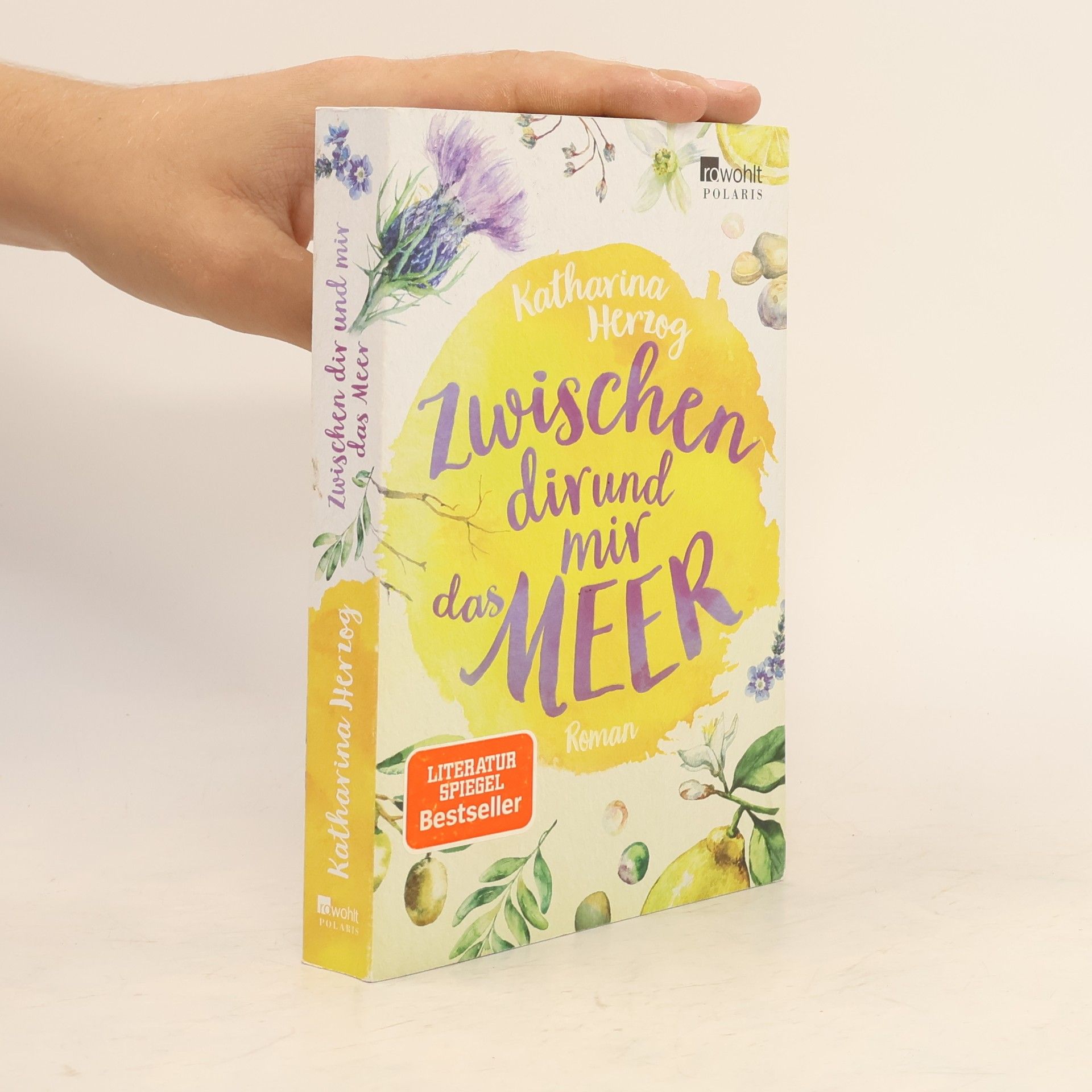 Katharina Herzog Zwischen dir und mir das Meer