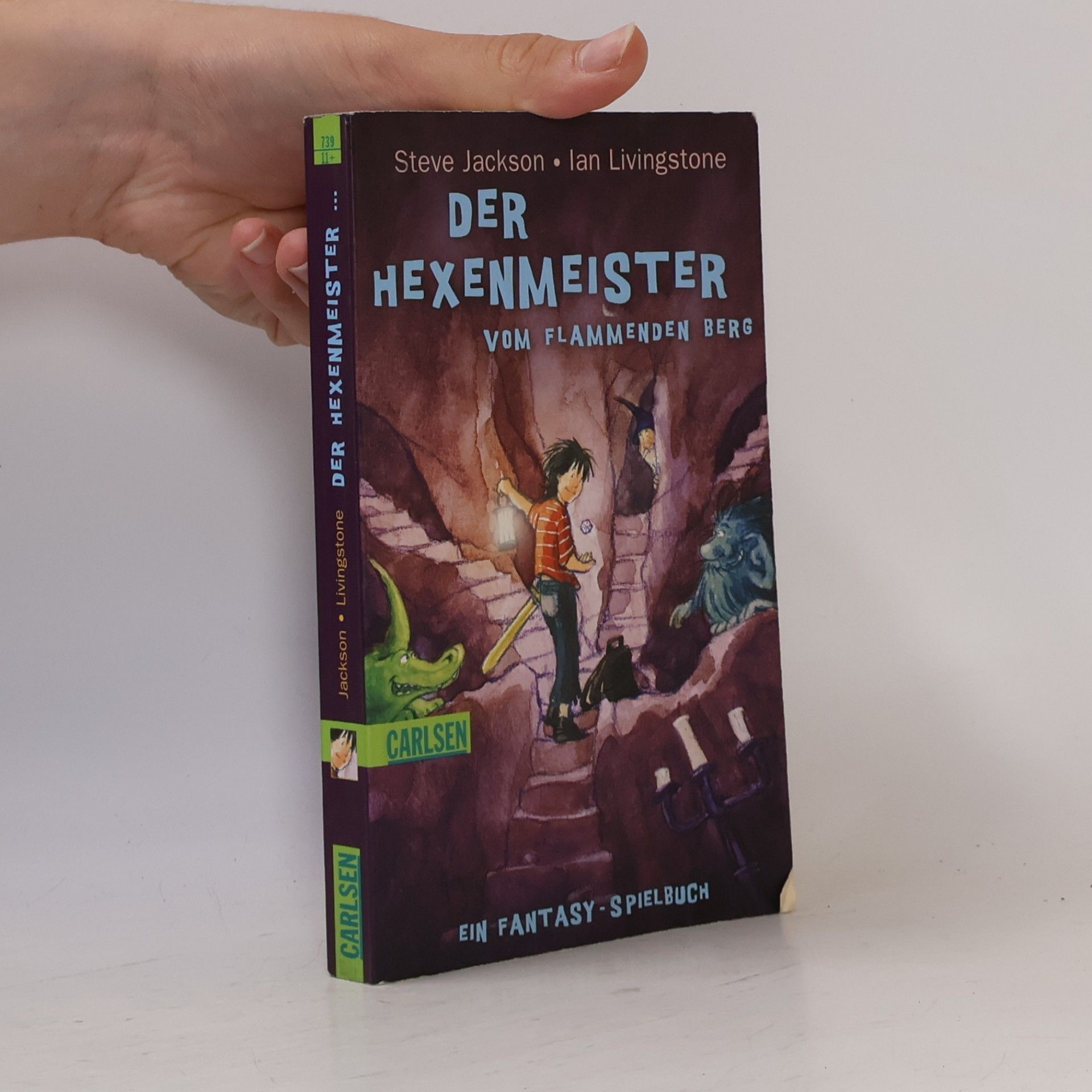 Ian Livingstone Der Hexenmeister vom flammenden Berg