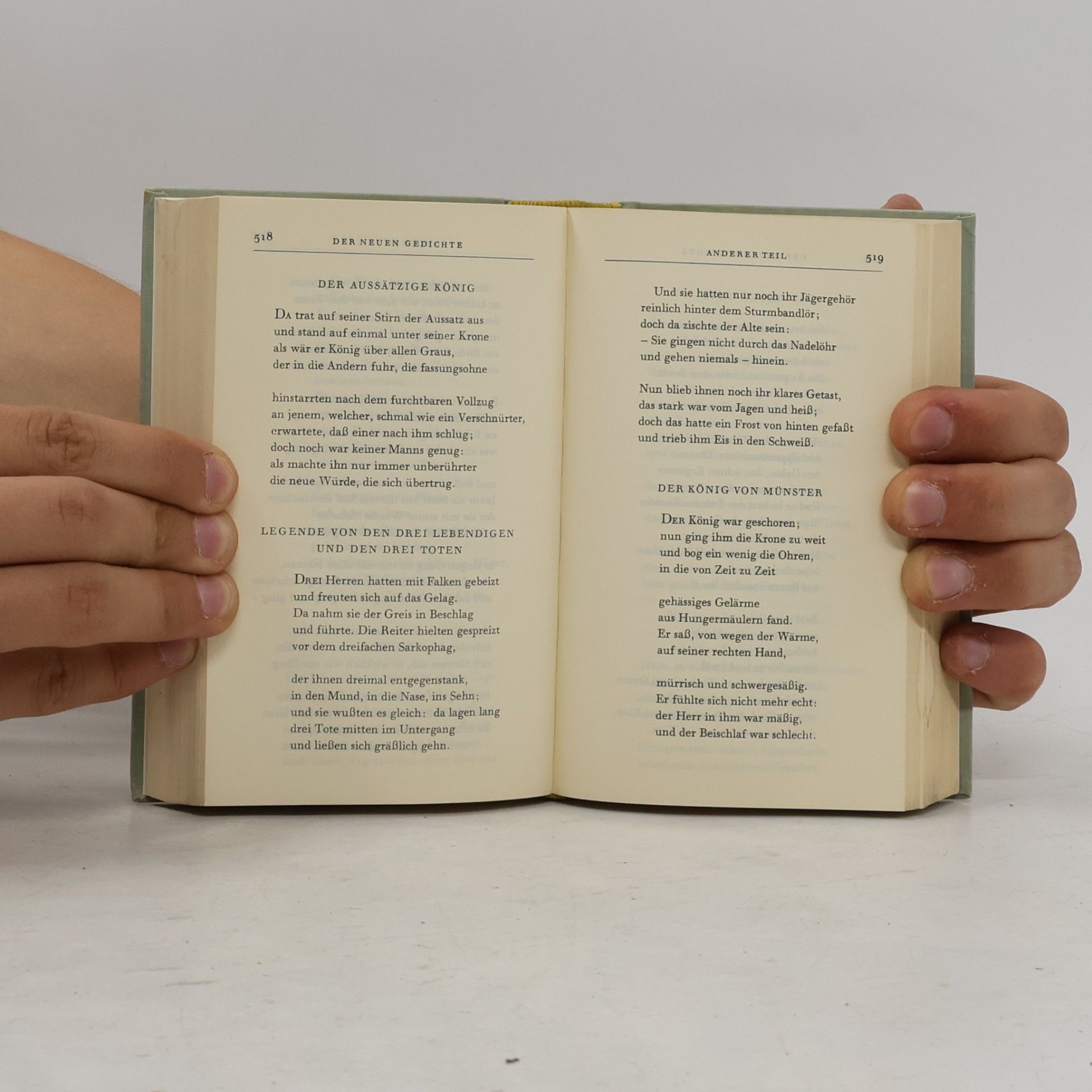 Rainer Maria Rilke Die Gedichte
