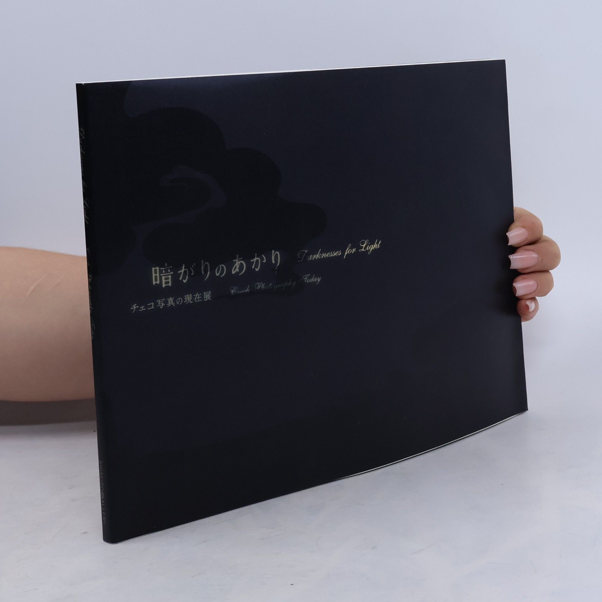 Various authors Darknesses for light - Czech photography today