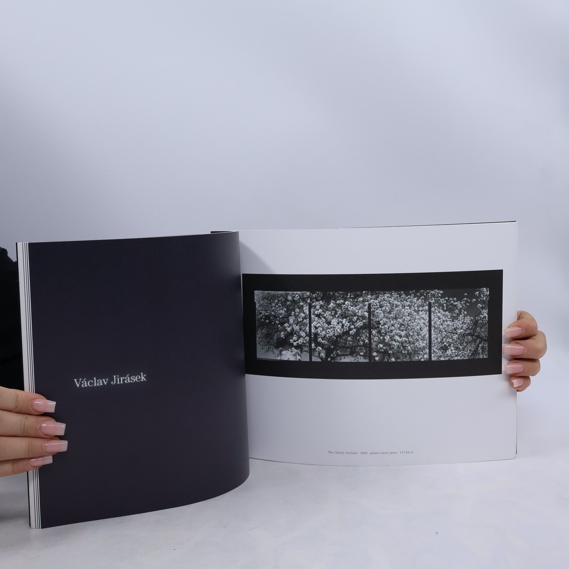 Various authors Darknesses for light - Czech photography today