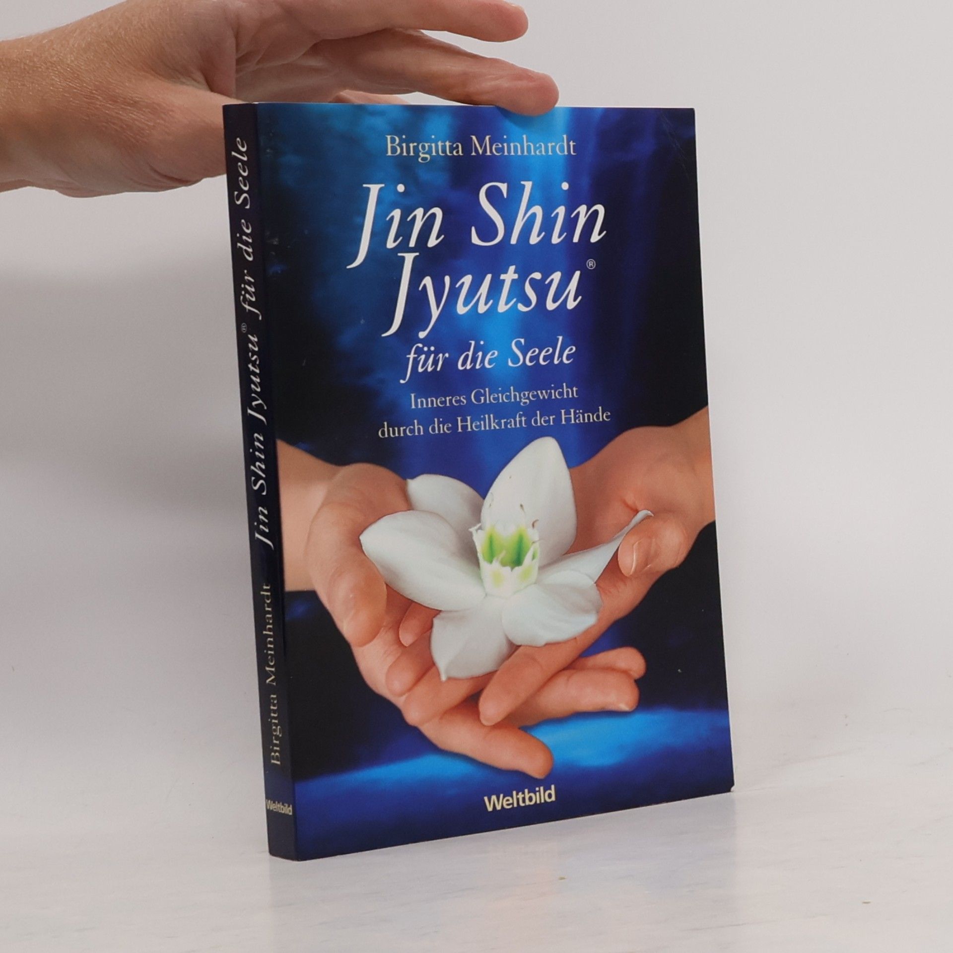 Birgitta Meinhardt Jin-Shin-Jyutsu für die Seele