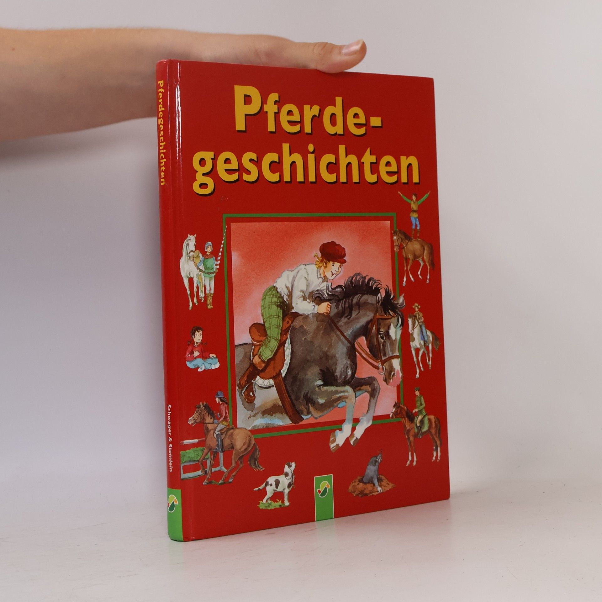 Collectif d'auteurs Pferde geschichten