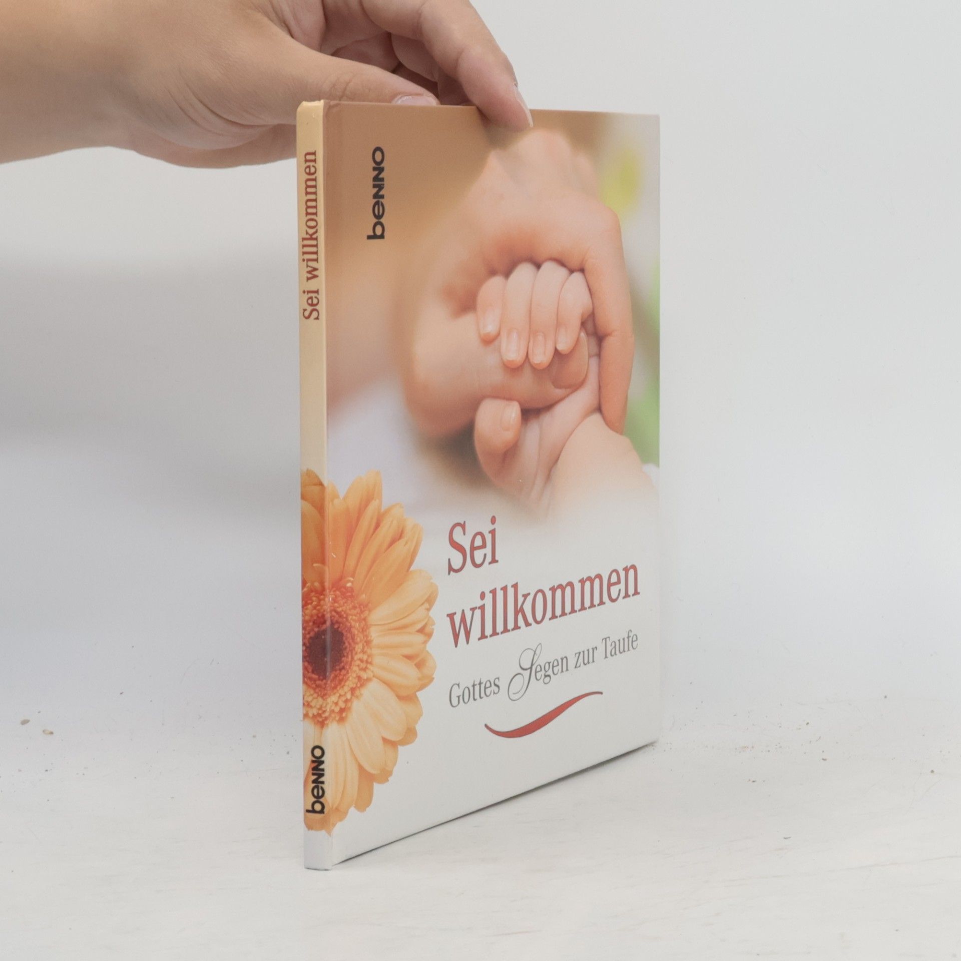 Reinhard Mey Sei willkommen