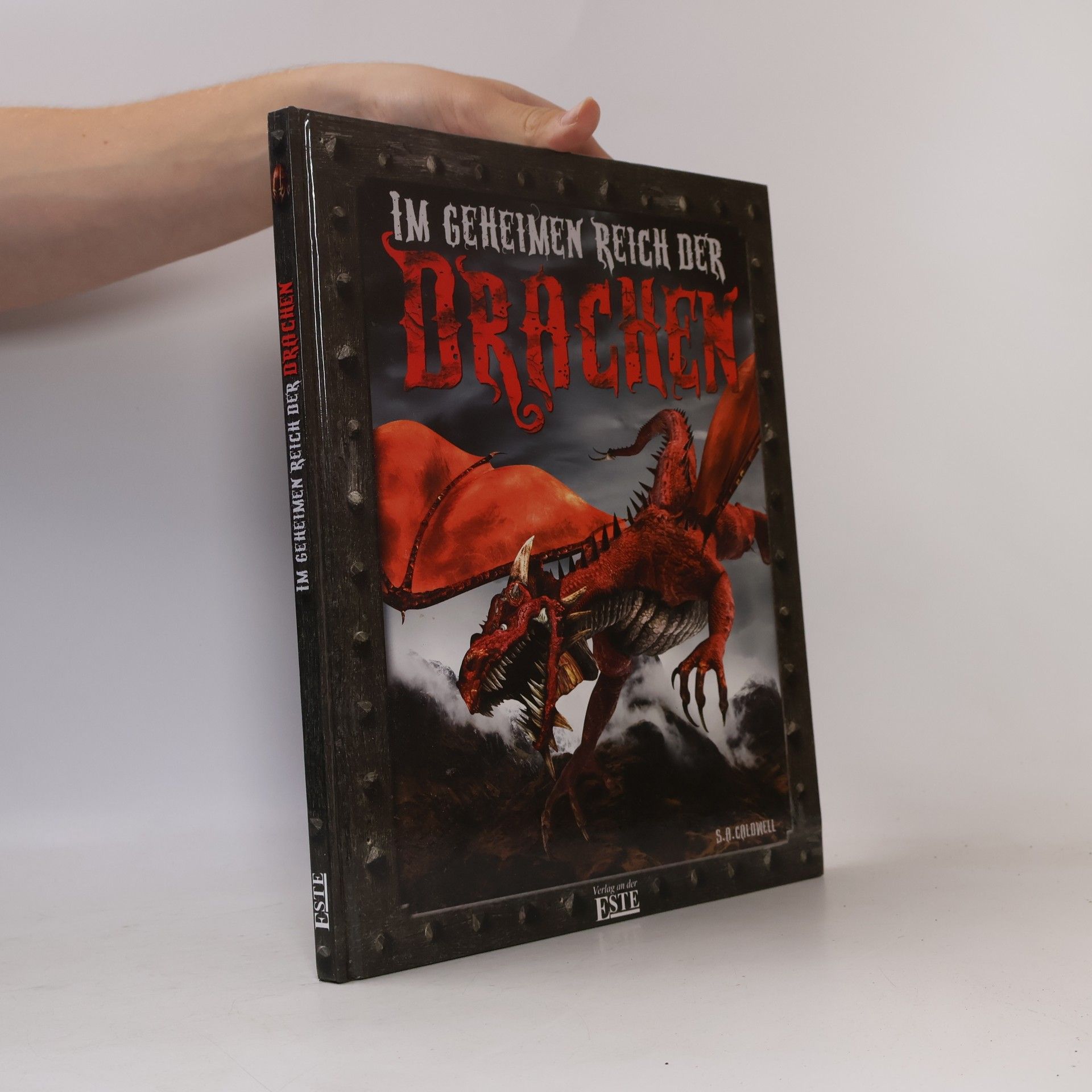 Stella Caldwell Im geheimen Reich der Drachen