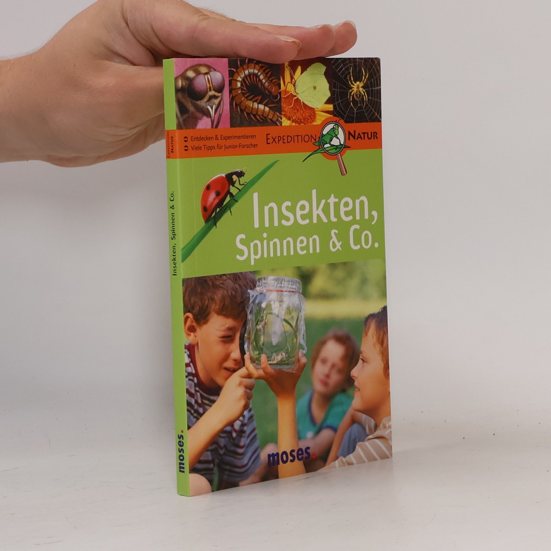 Anke Küpper Insekten, Spinnen & Co.