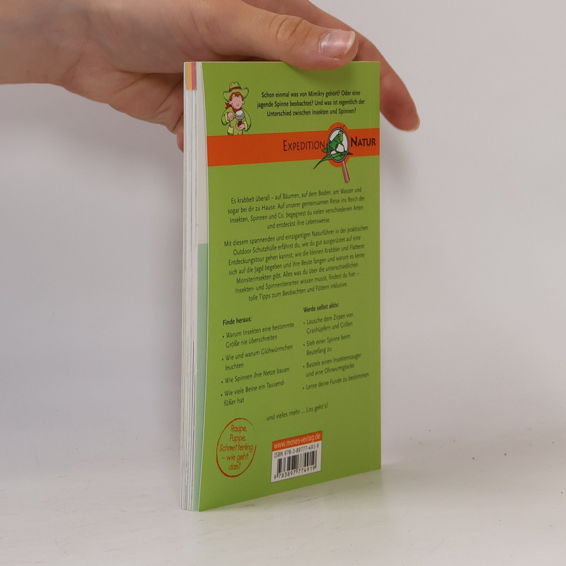 Anke Küpper Insekten, Spinnen & Co.