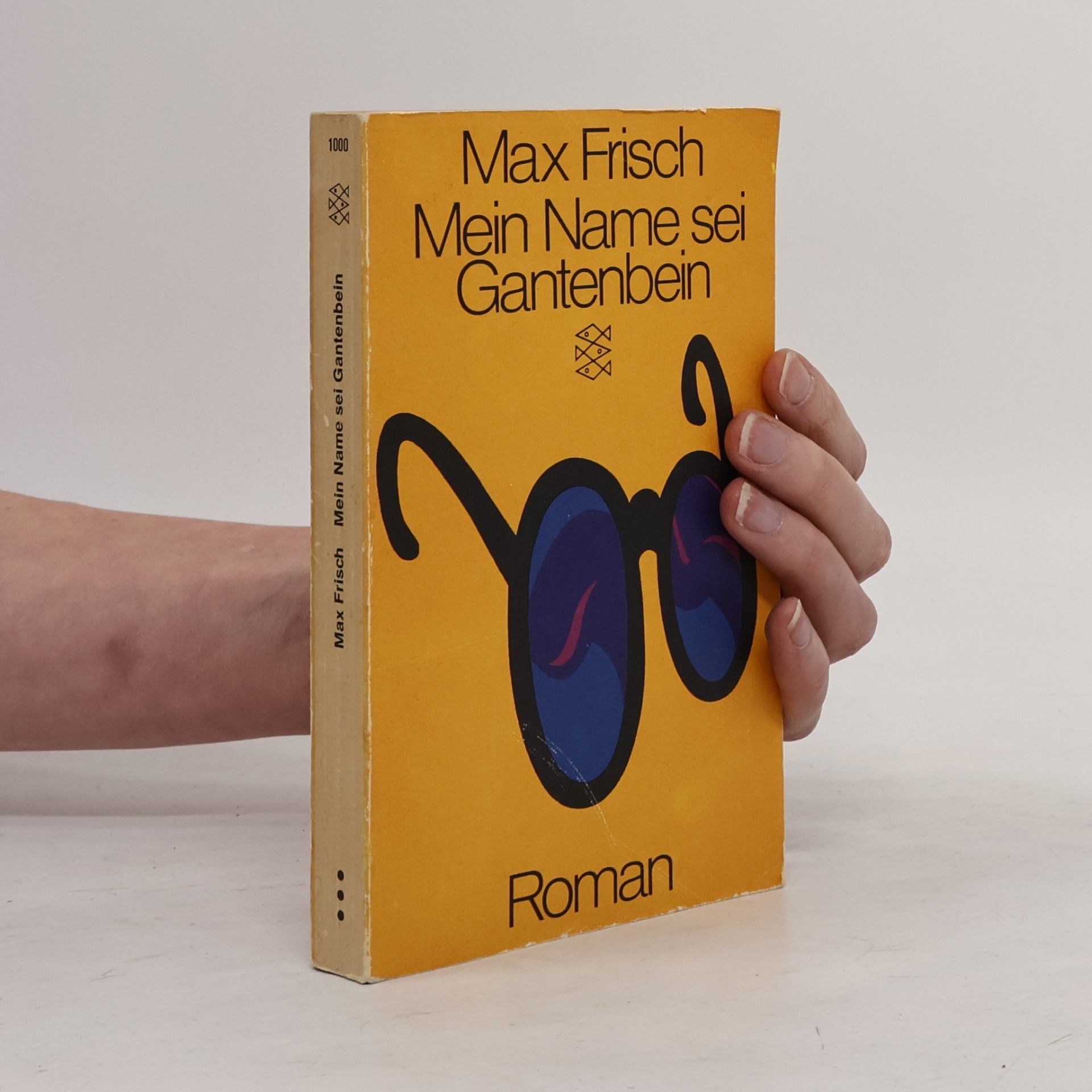 Max Frisch Mein Name sei Gantenbein