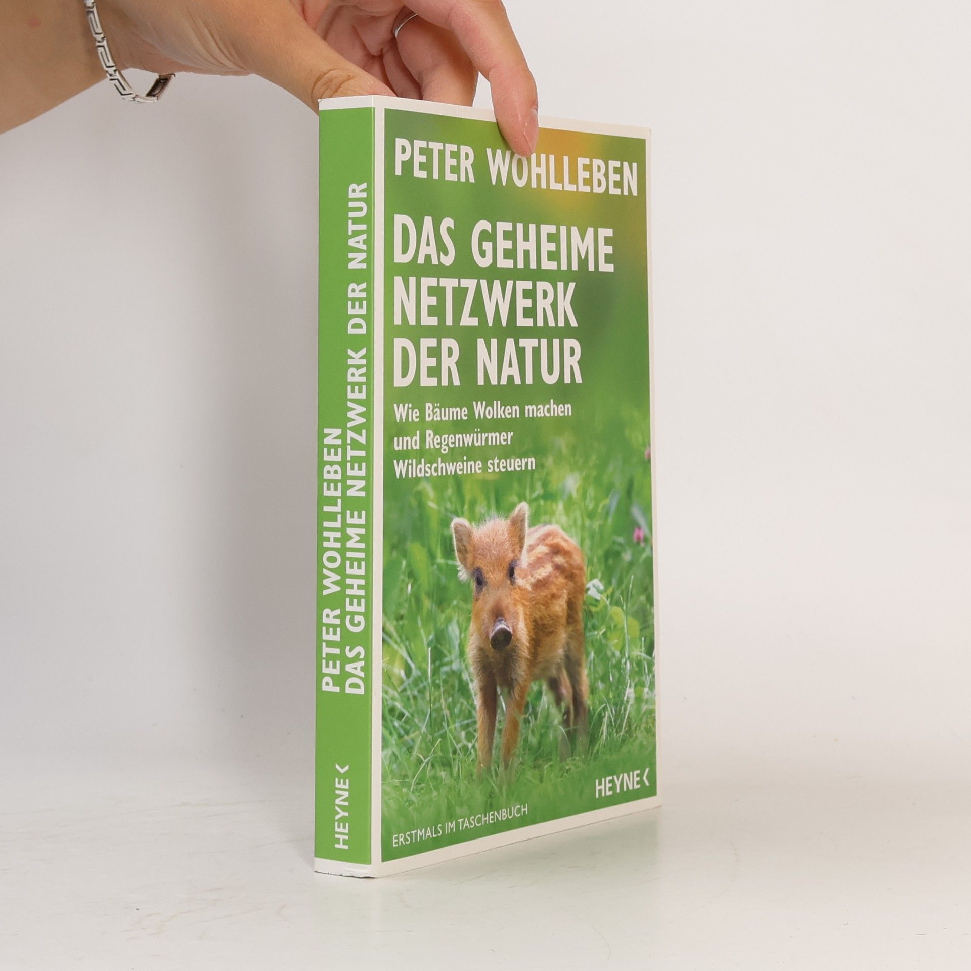 Wohlleben Peter Das geheime Netzwerk der Natur