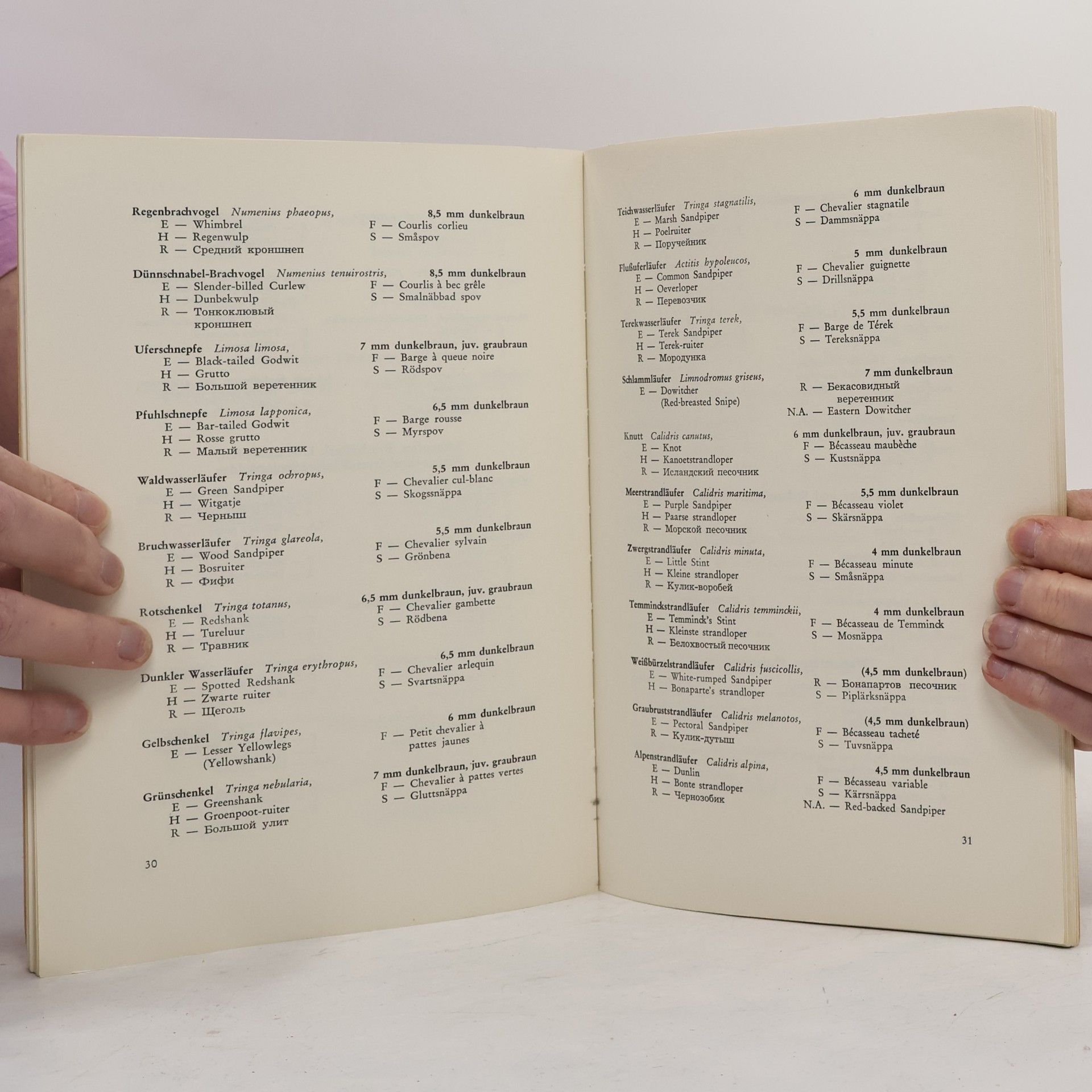 Rudolf Piechocki Augenkatalog der Vögel Europas