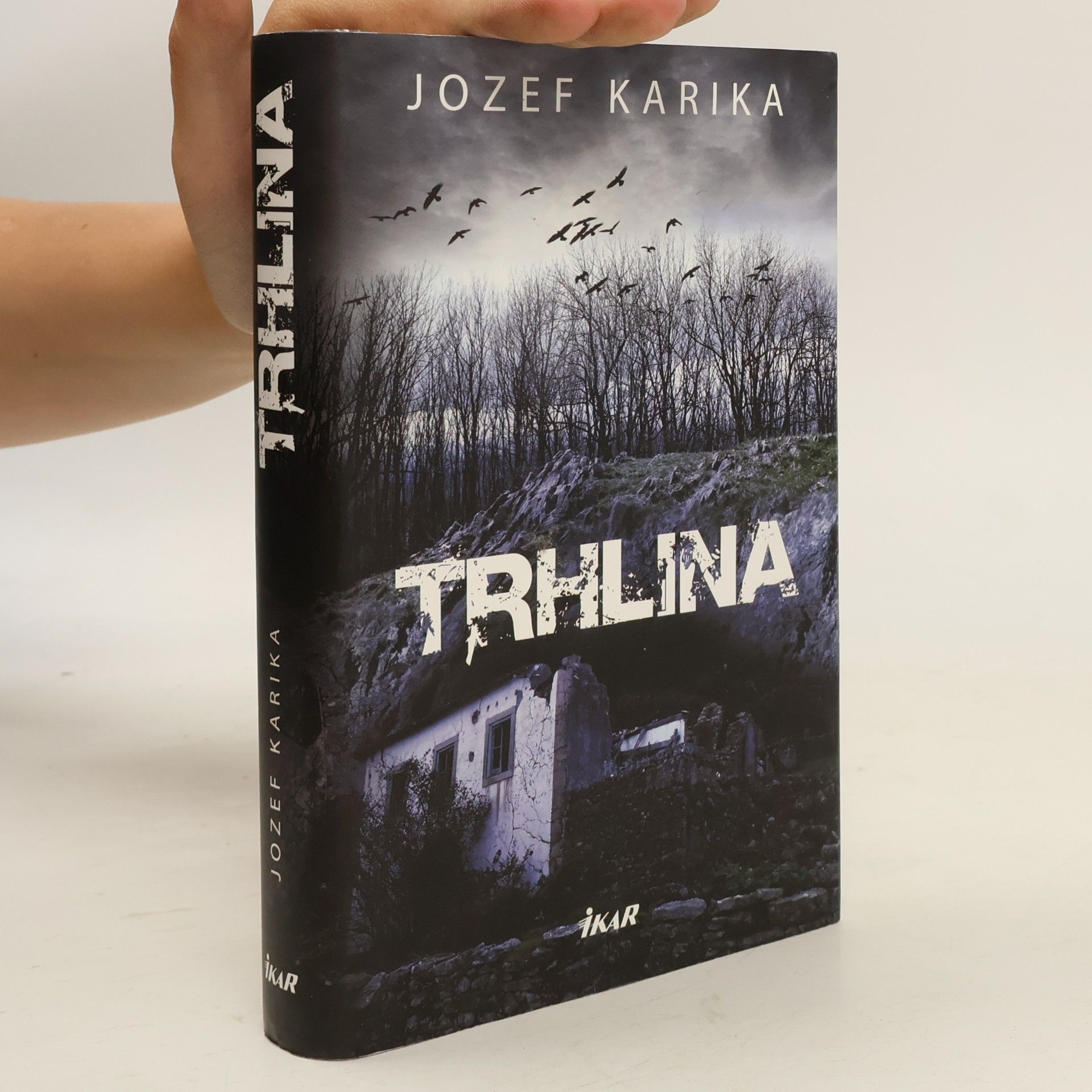 Jozef Karika Trhlina