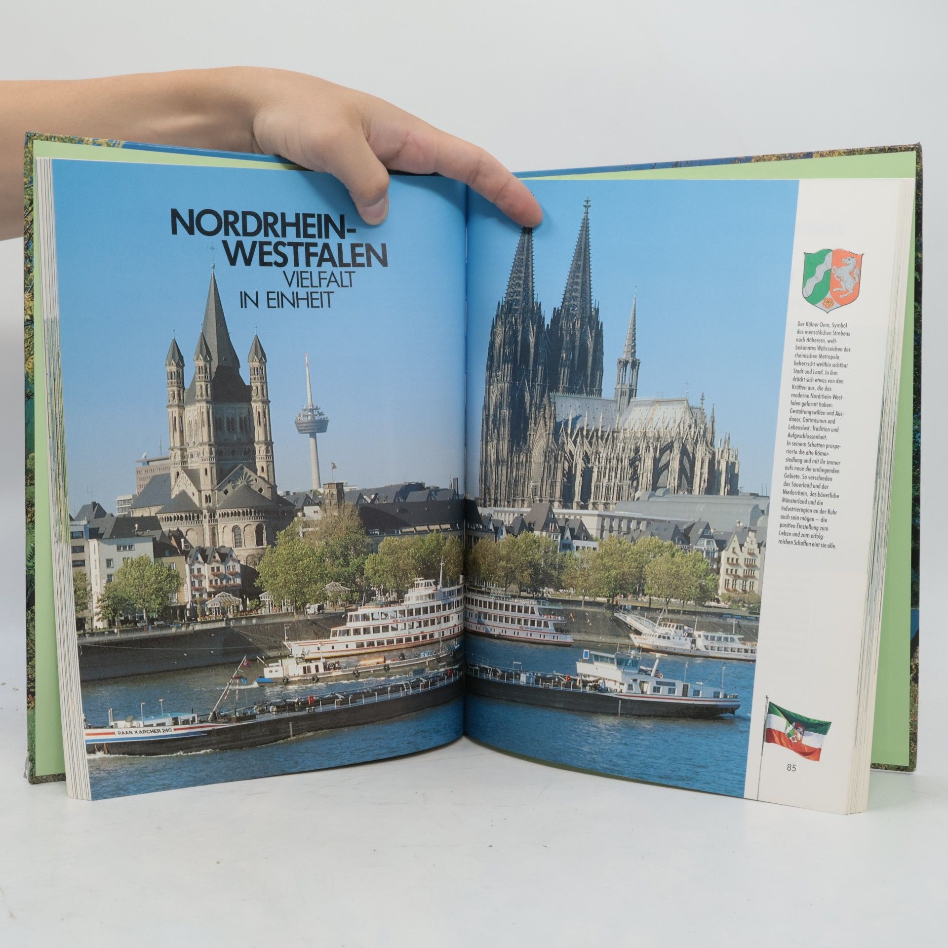 Henry Meyer Das große Wanderbuch