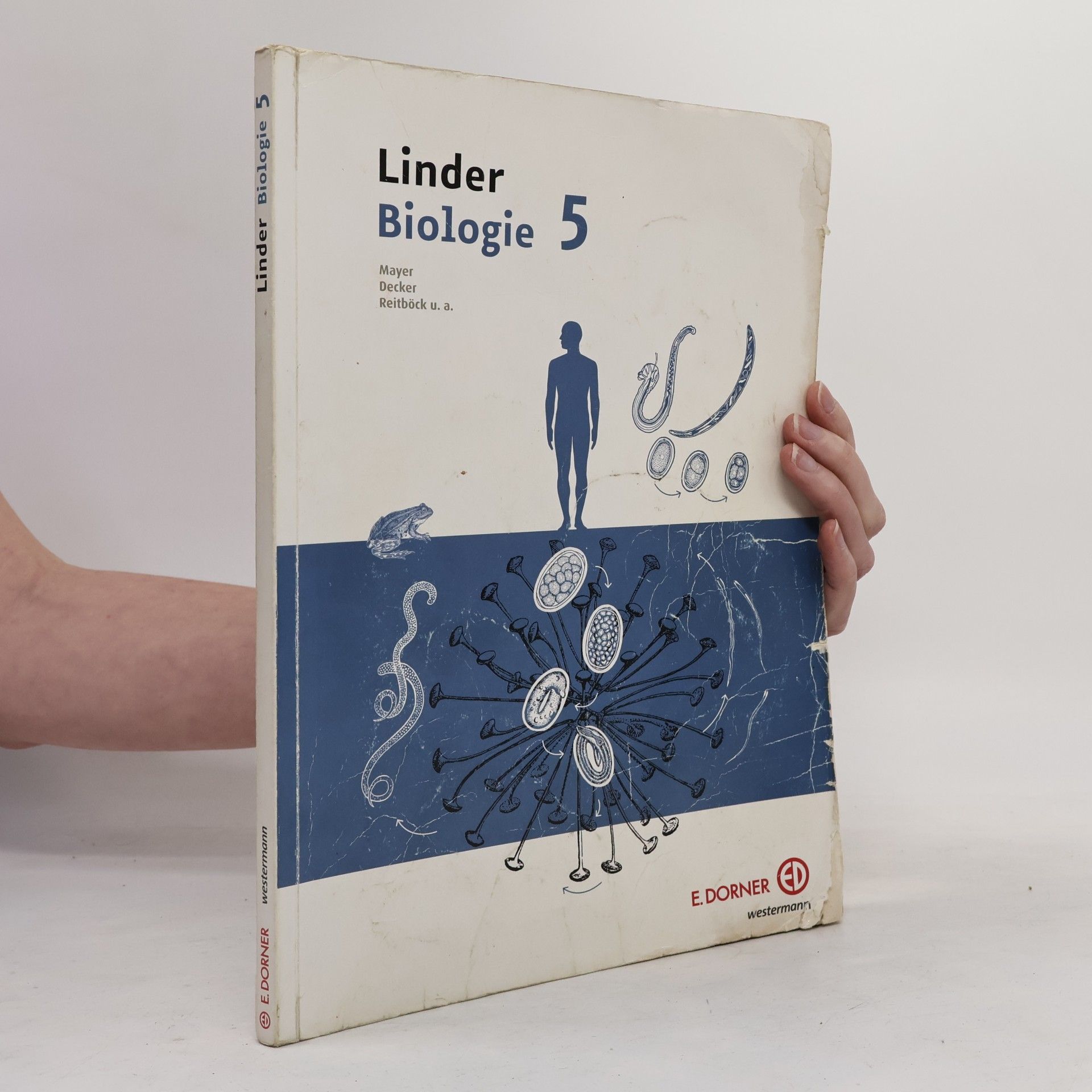 Autorenkollektiv Linder Biologie 5