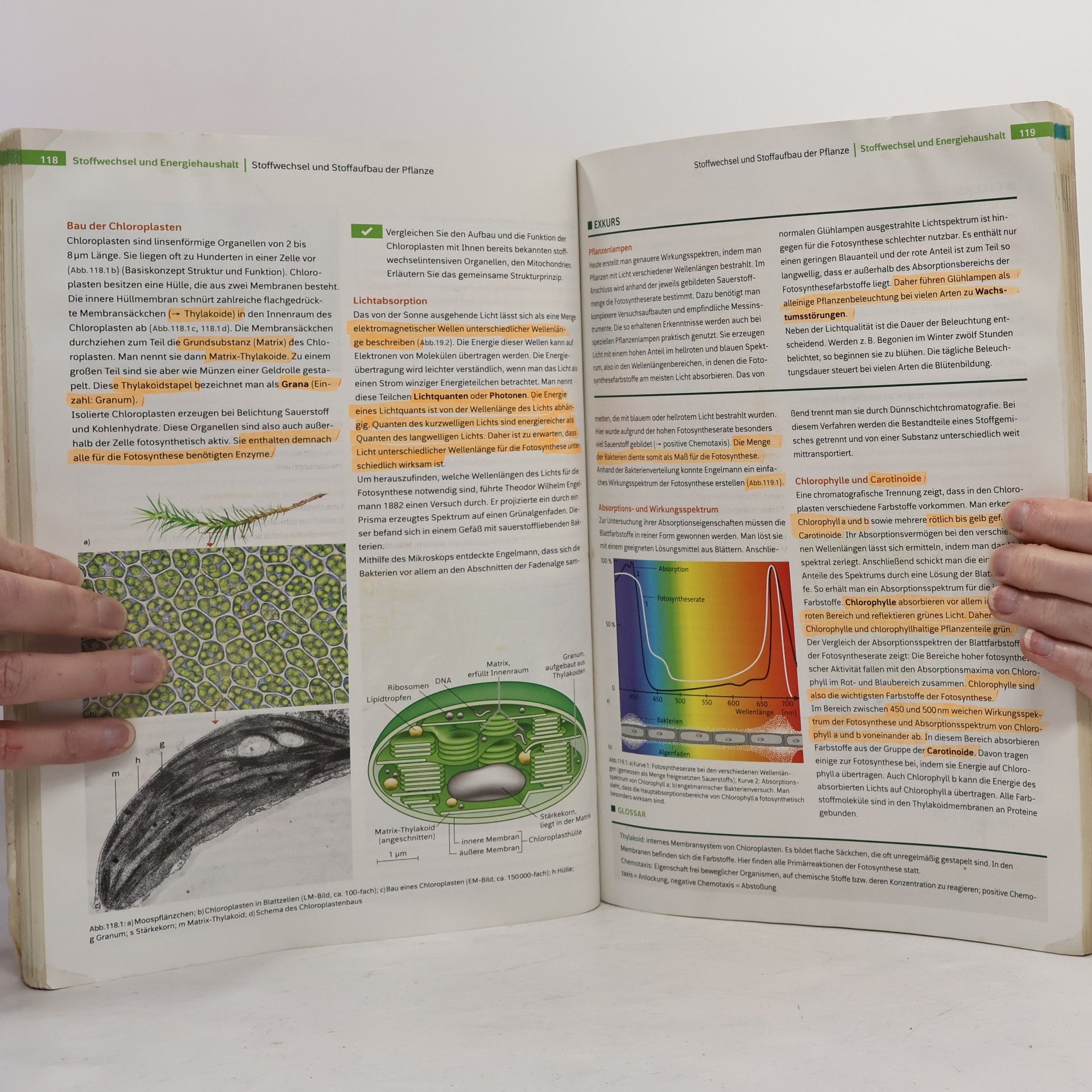 Autorenkollektiv Linder Biologie 5