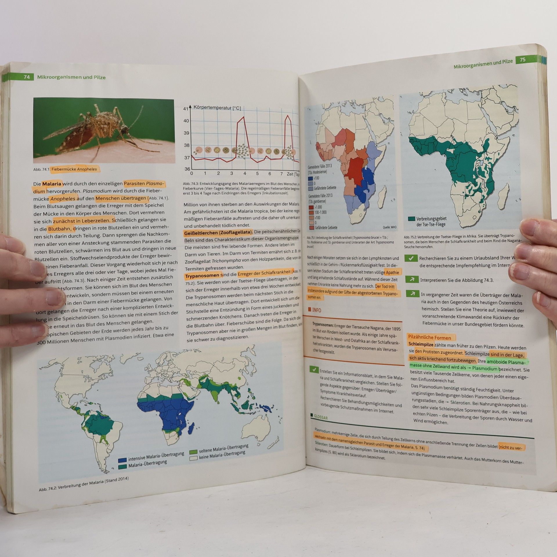 Autorenkollektiv Linder Biologie 5
