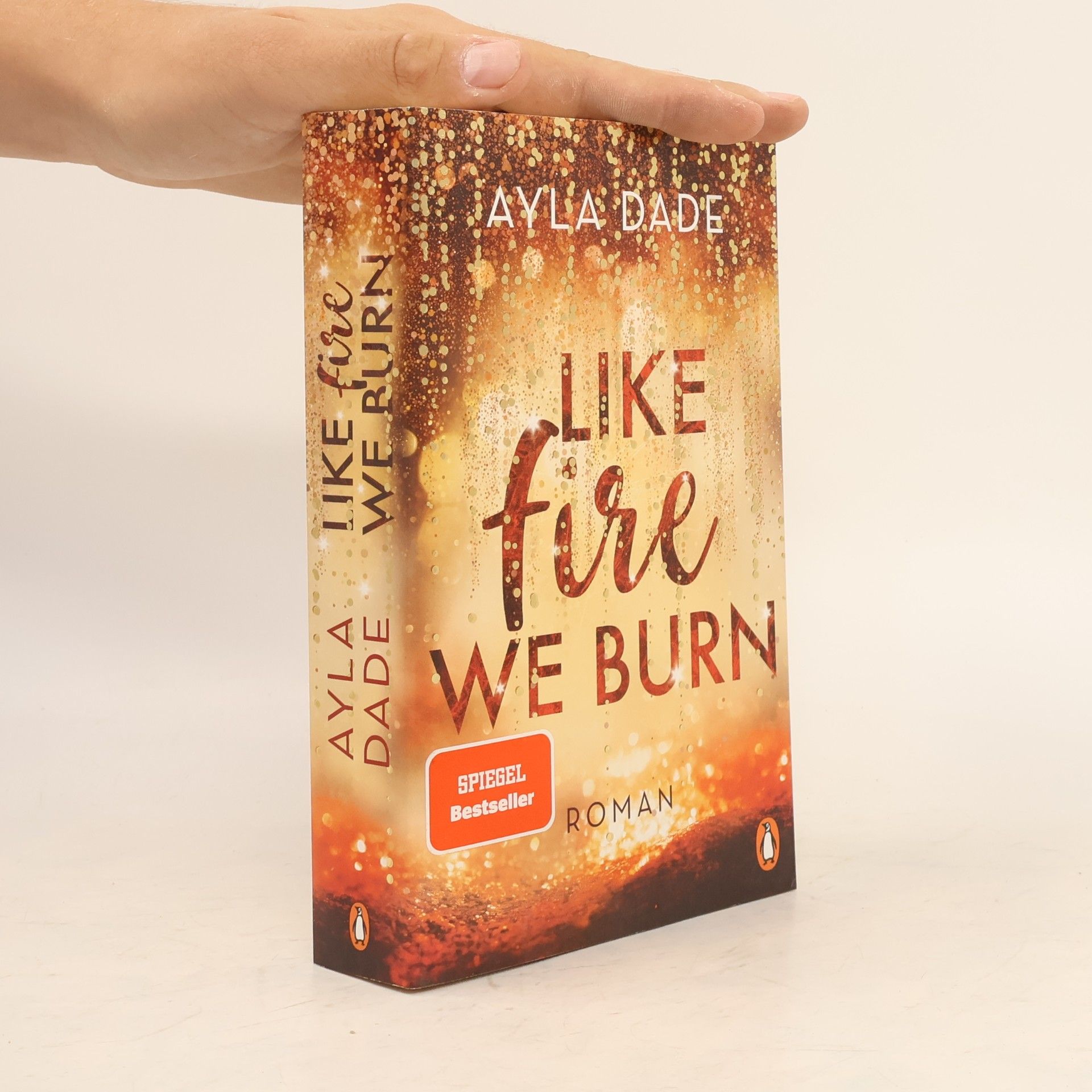 Ayla Dade Like Fire We Burn