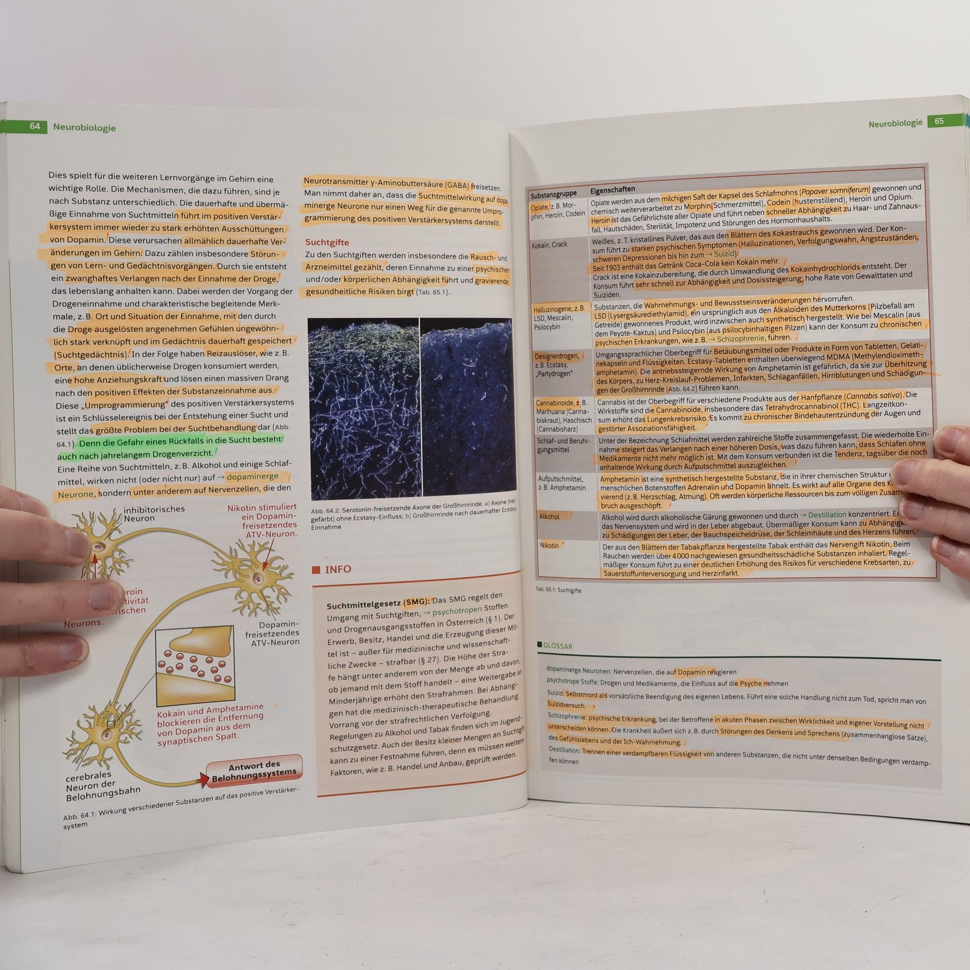 Collectif d'auteurs Linder Biologie 6