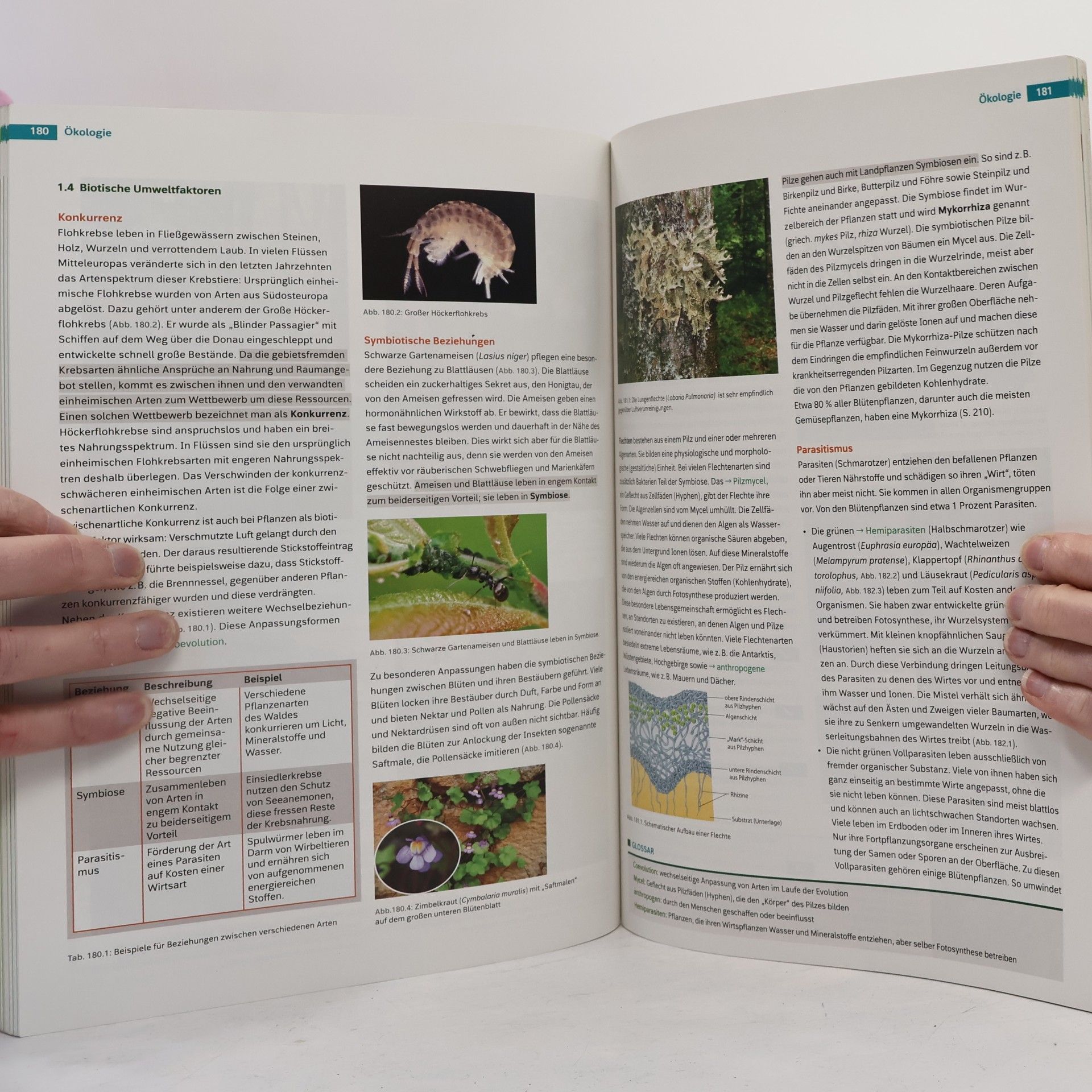 Collectif d'auteurs Linder Biologie 6