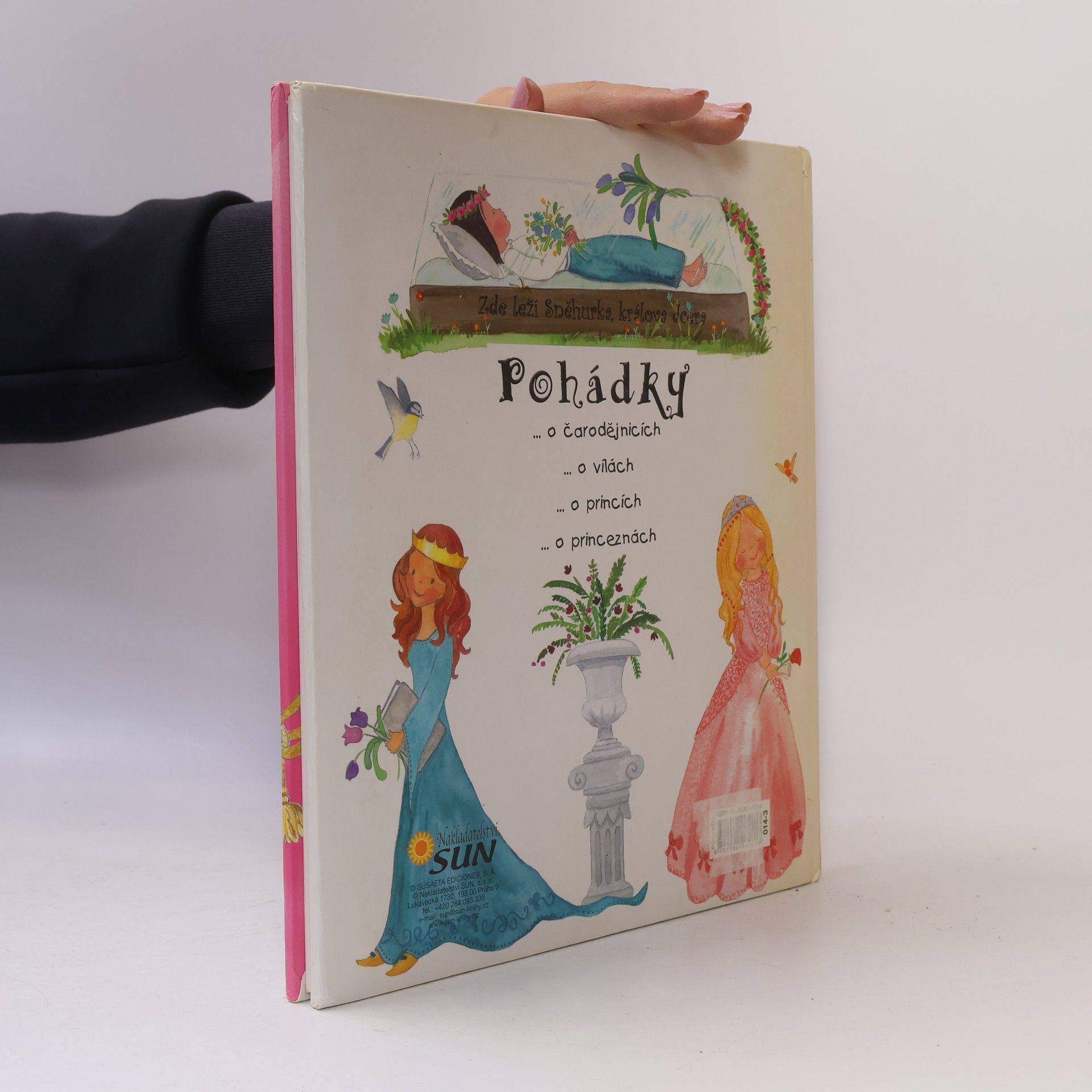 Celia Ruiz Ibáńez Pohádky o princeznách