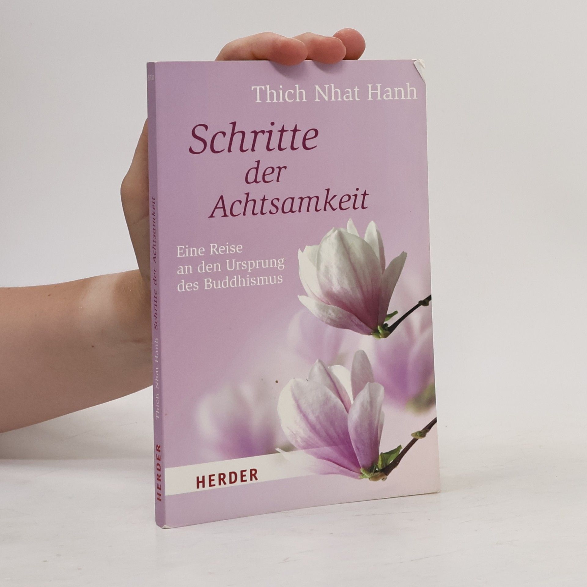 Thích Nhất Hạnh Schritte der Achtsamkeit