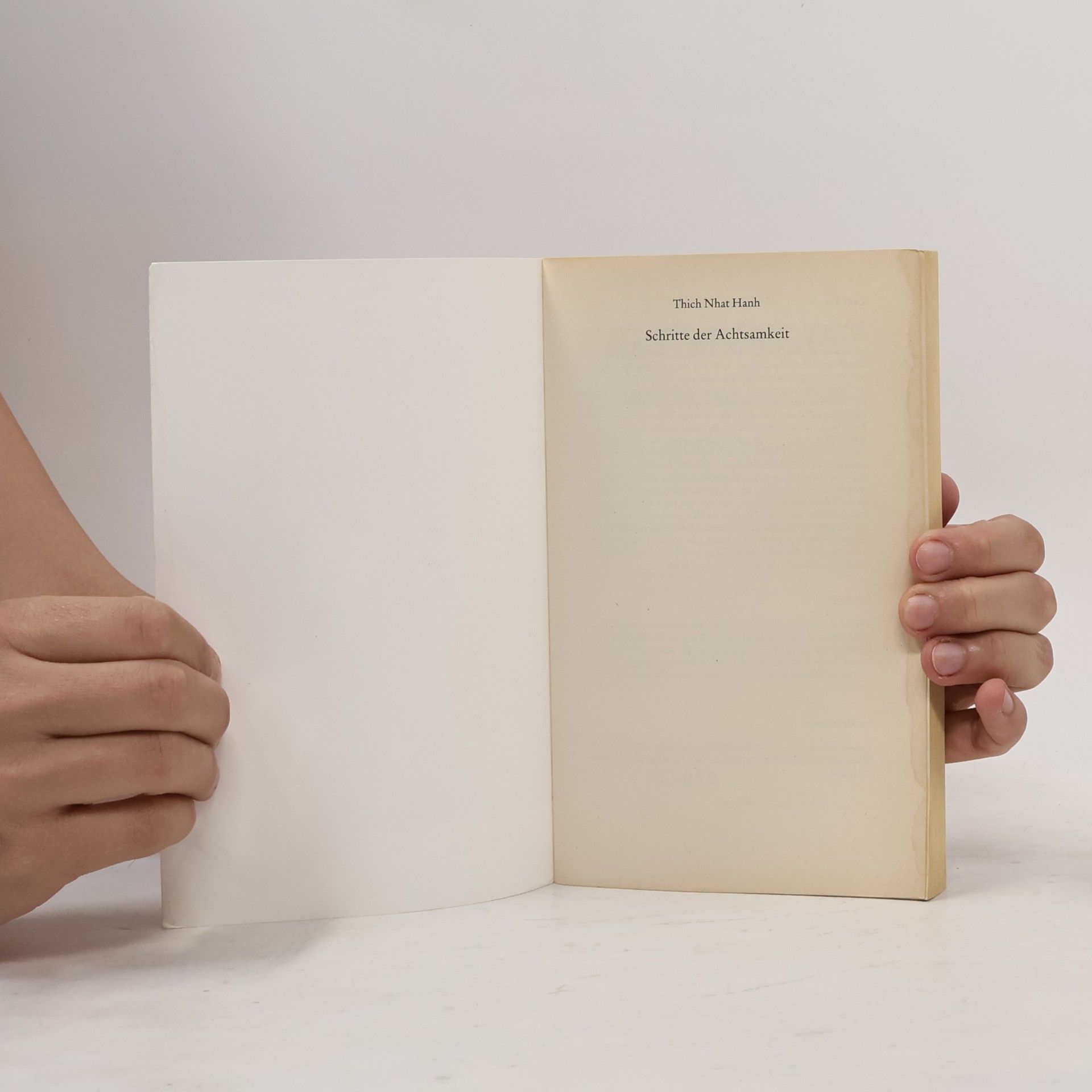 Thích Nhất Hạnh Schritte der Achtsamkeit