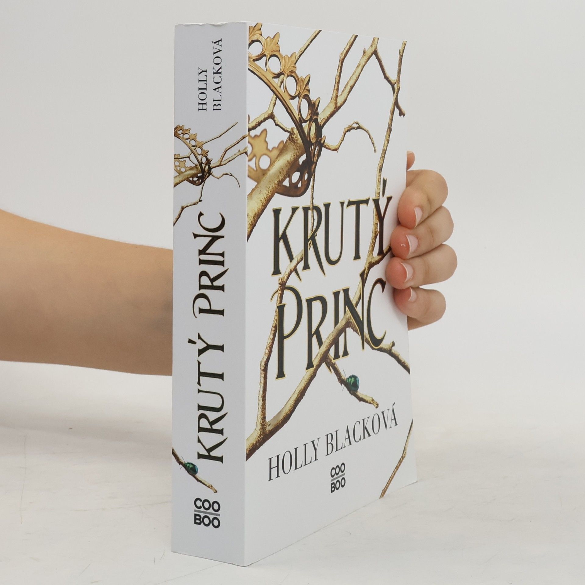 Holly Black Krutý princ