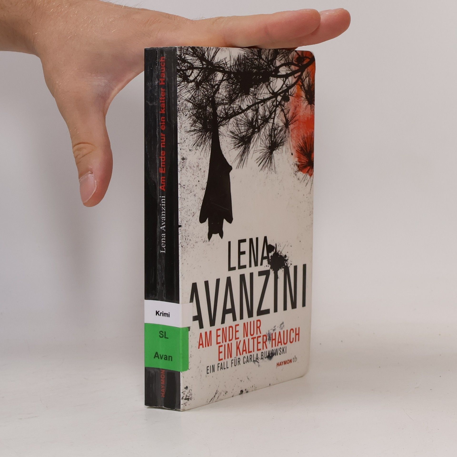 Lena Avanzini Nie wieder sollst du lügen