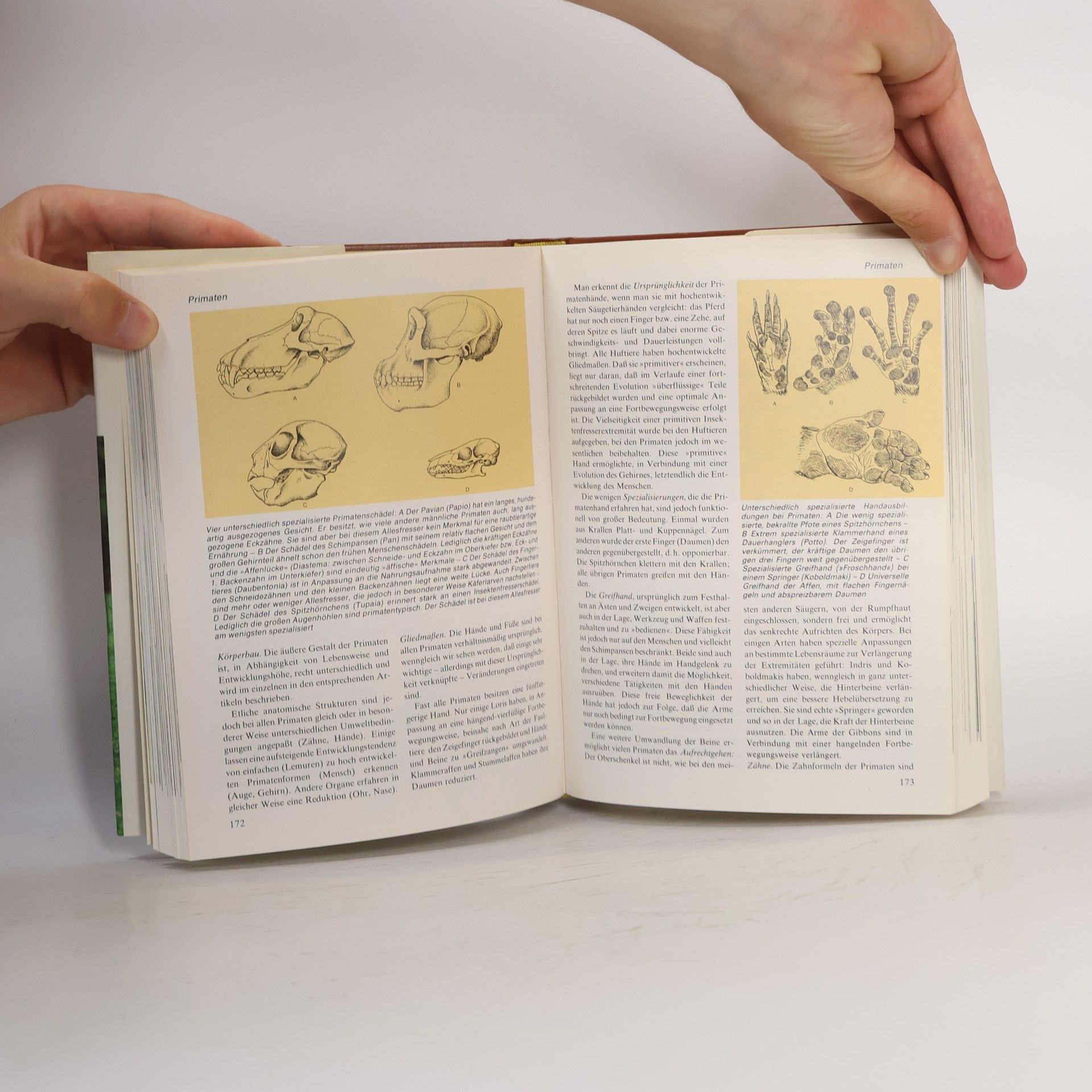Autorenkollektiv Das moderne Tierlexikon 8. Ona-Rog