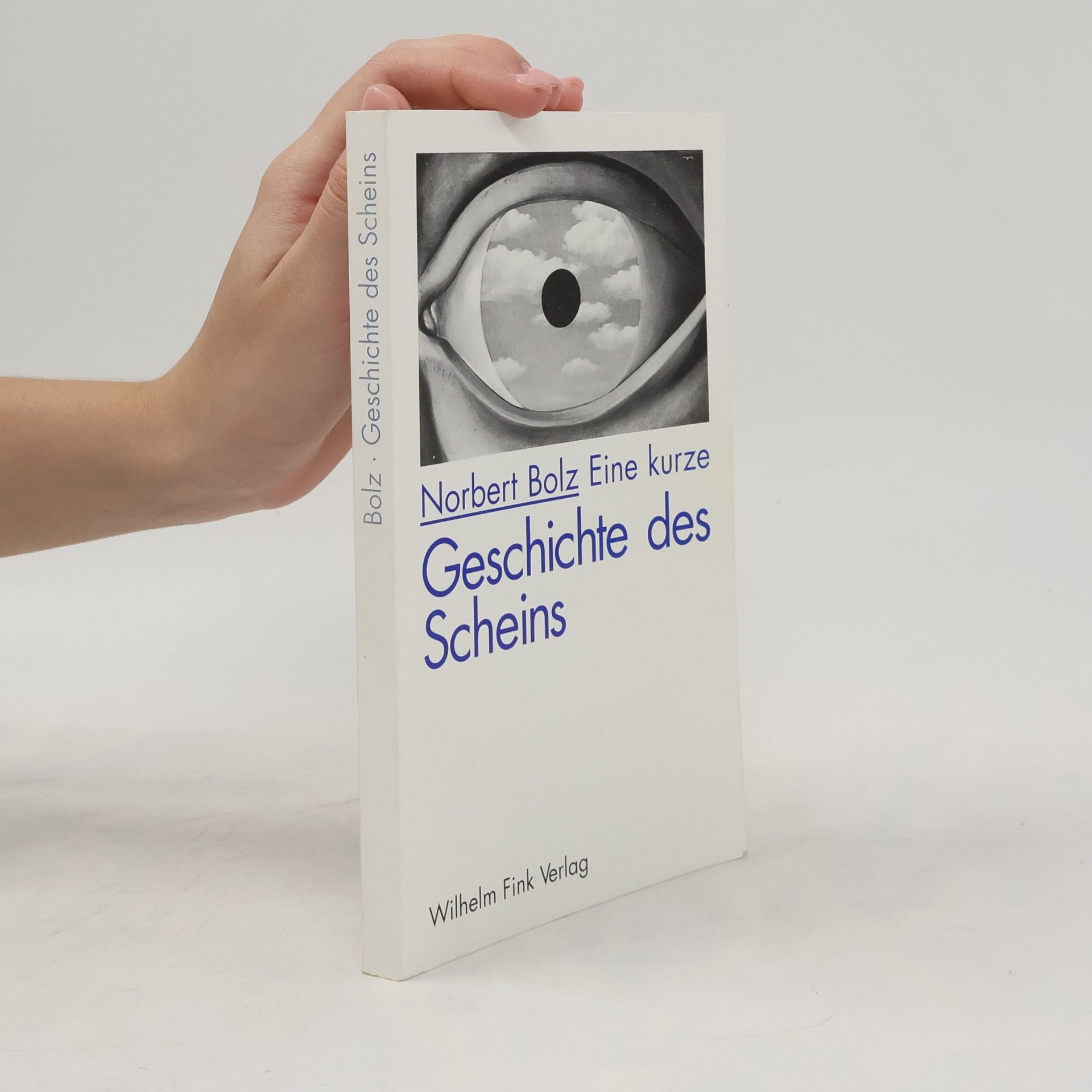 Norbert Bolz Eine kurze Geschichte des Scheins