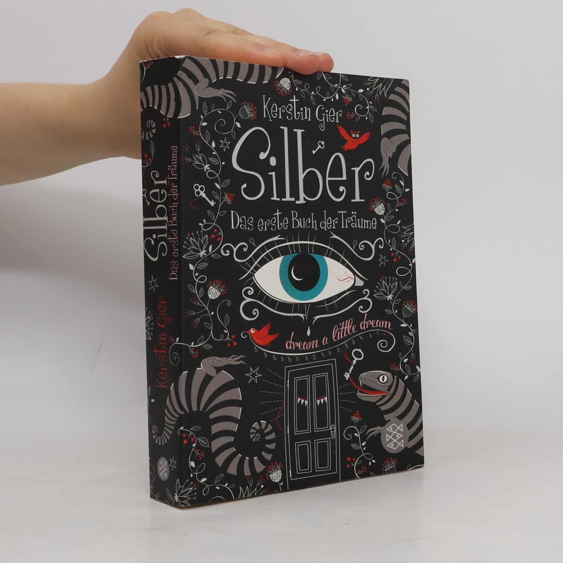 Kerstin Gier Silber. Das erste Buch der Träume