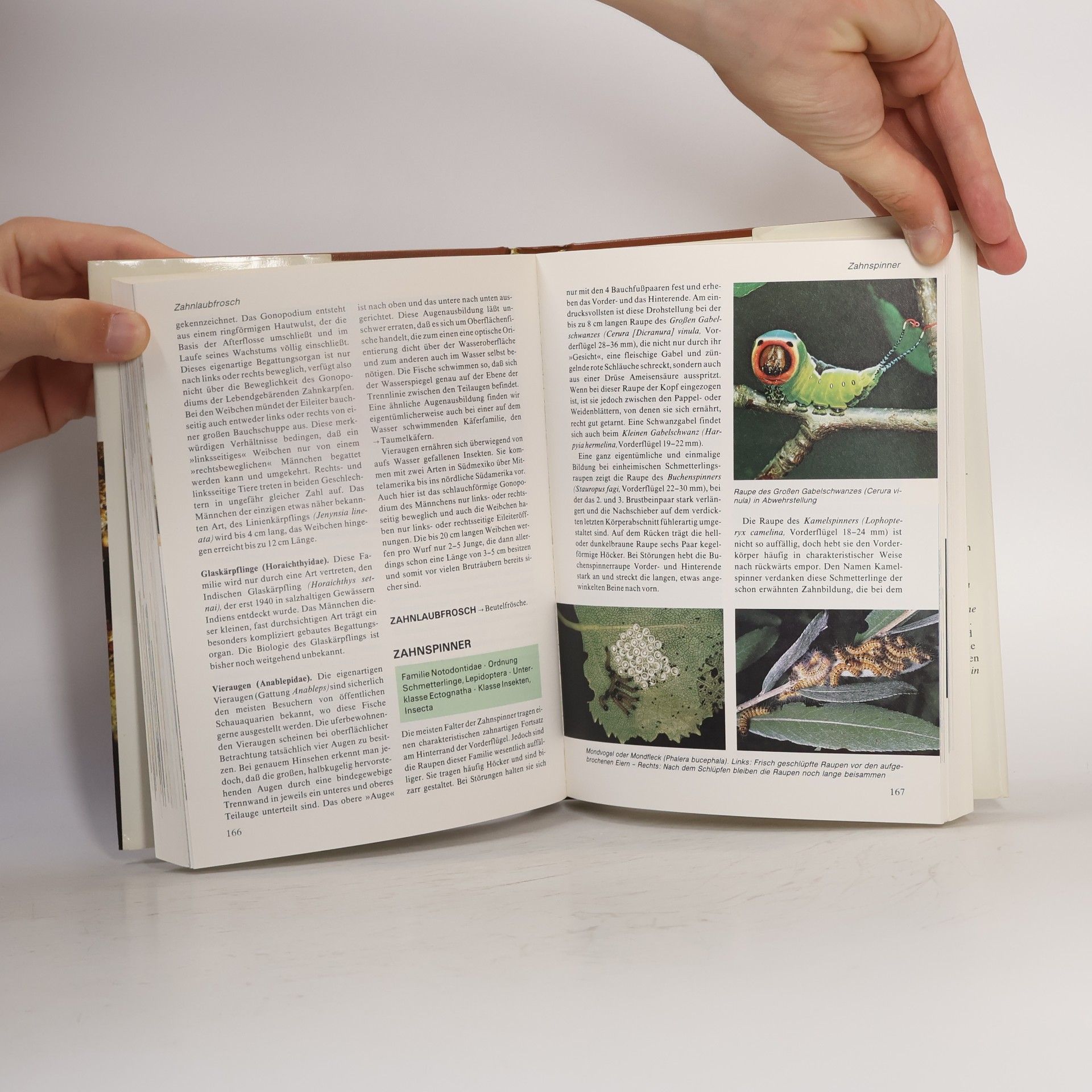 Various authors Das moderne Tierlexikon 12. Webs-Zy