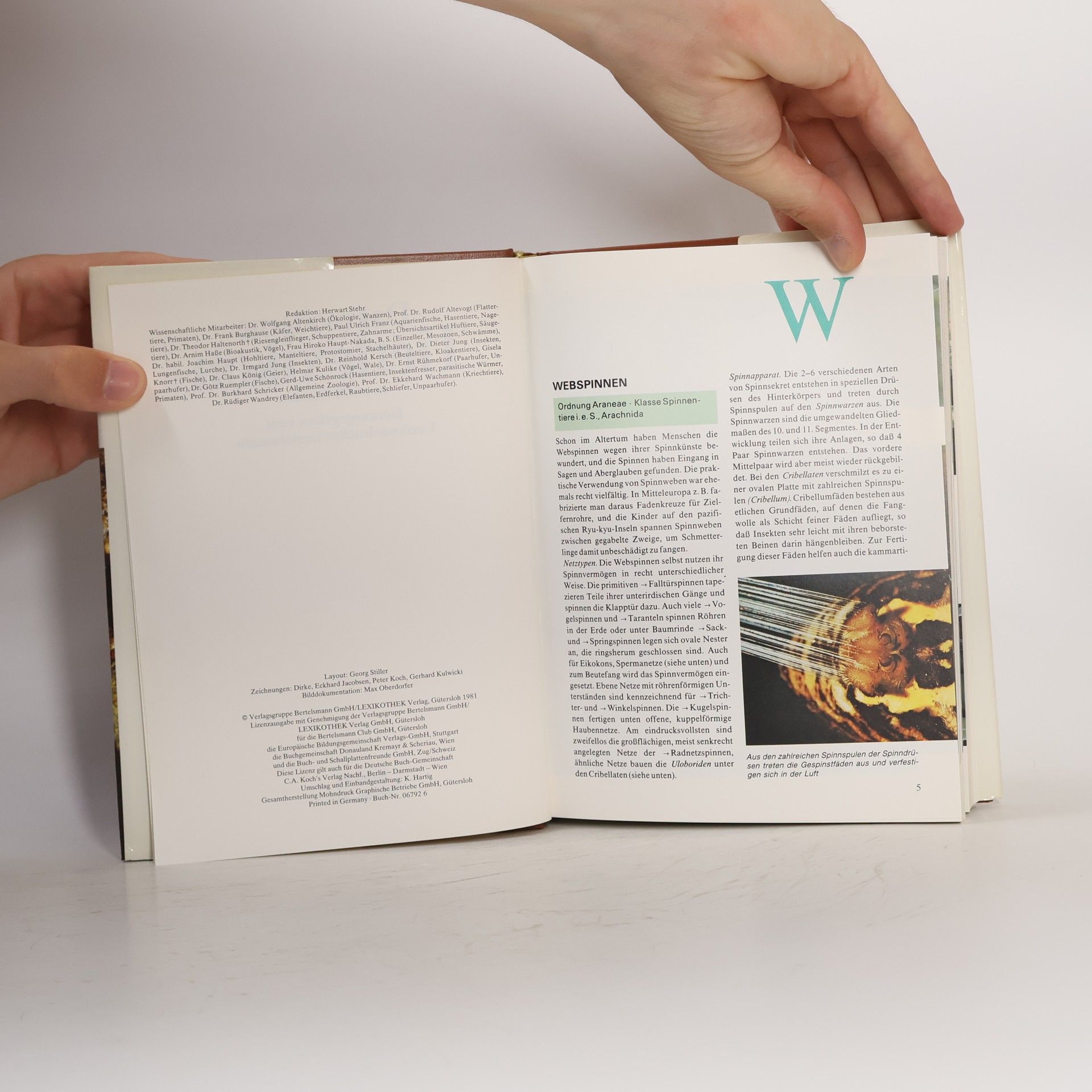 Various authors Das moderne Tierlexikon 12. Webs-Zy