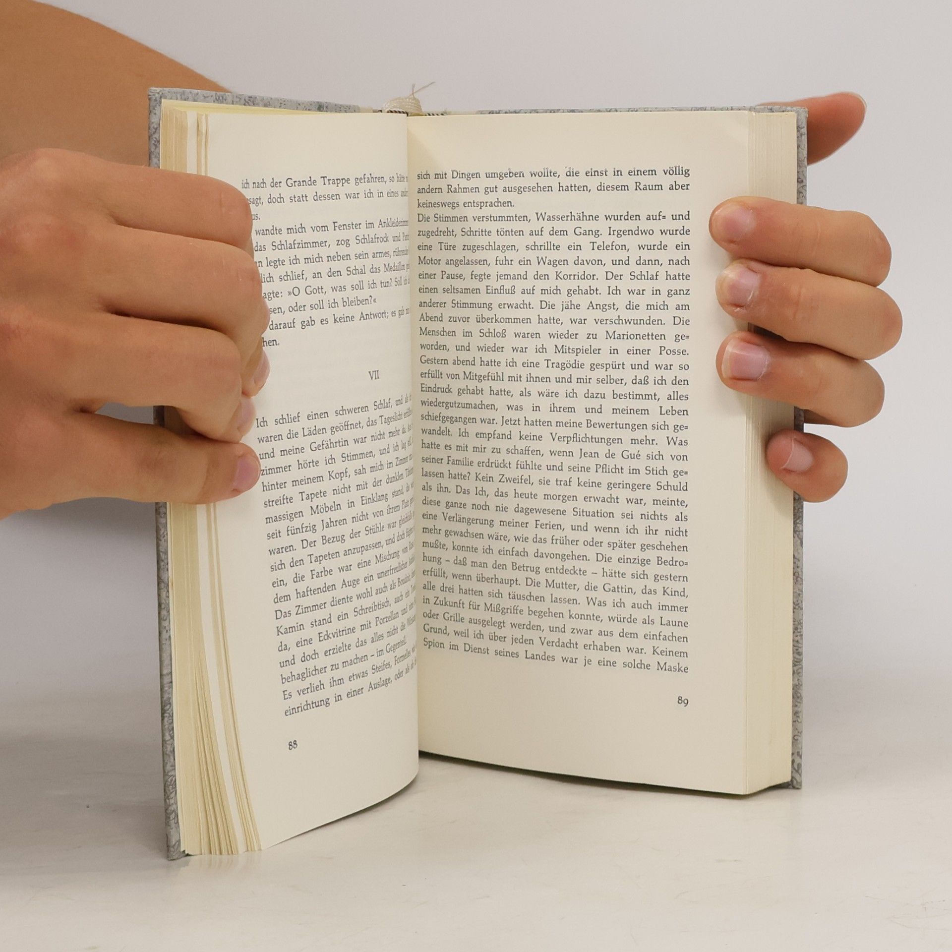 Daphne du Maurier Der Sündenbock