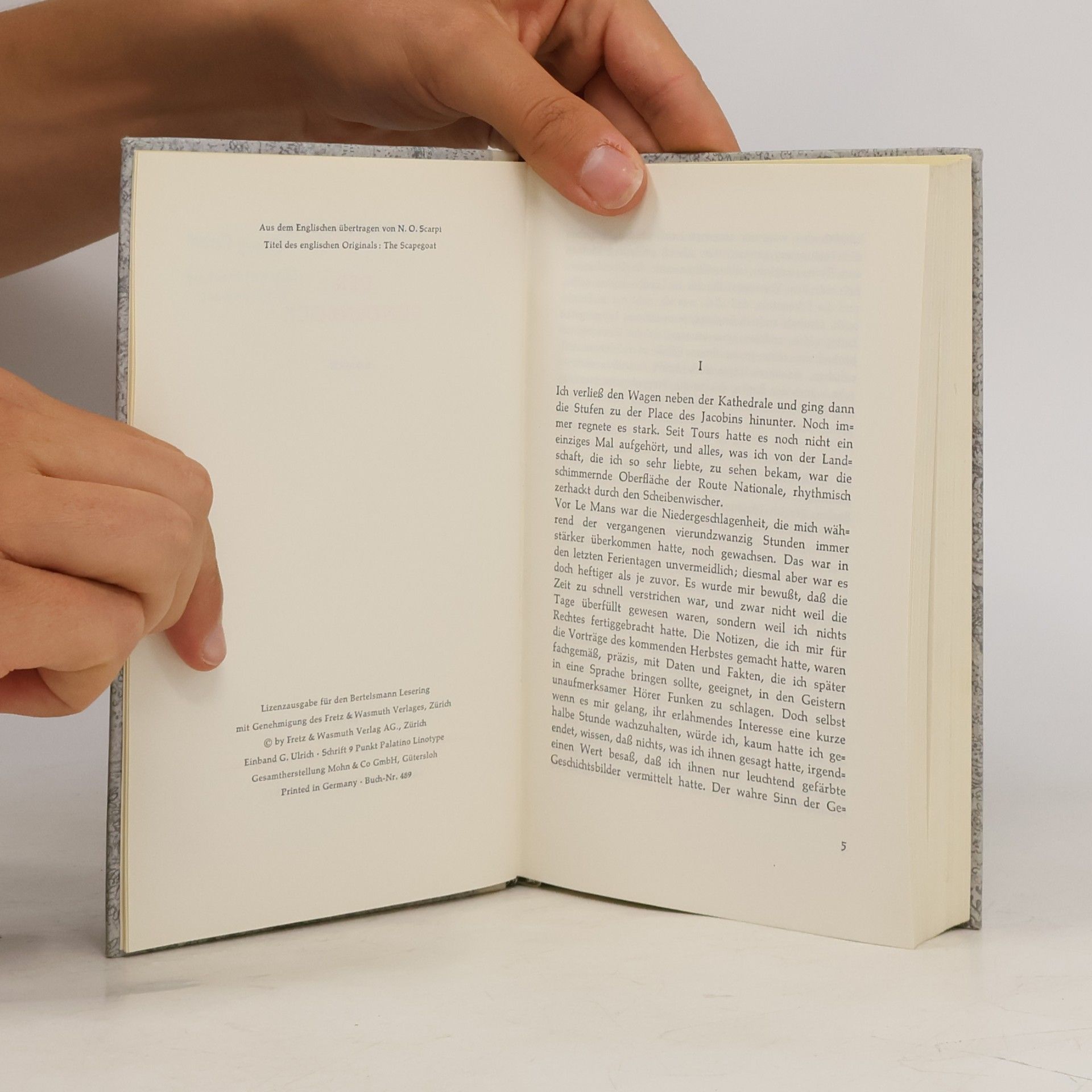 Daphne du Maurier Der Sündenbock