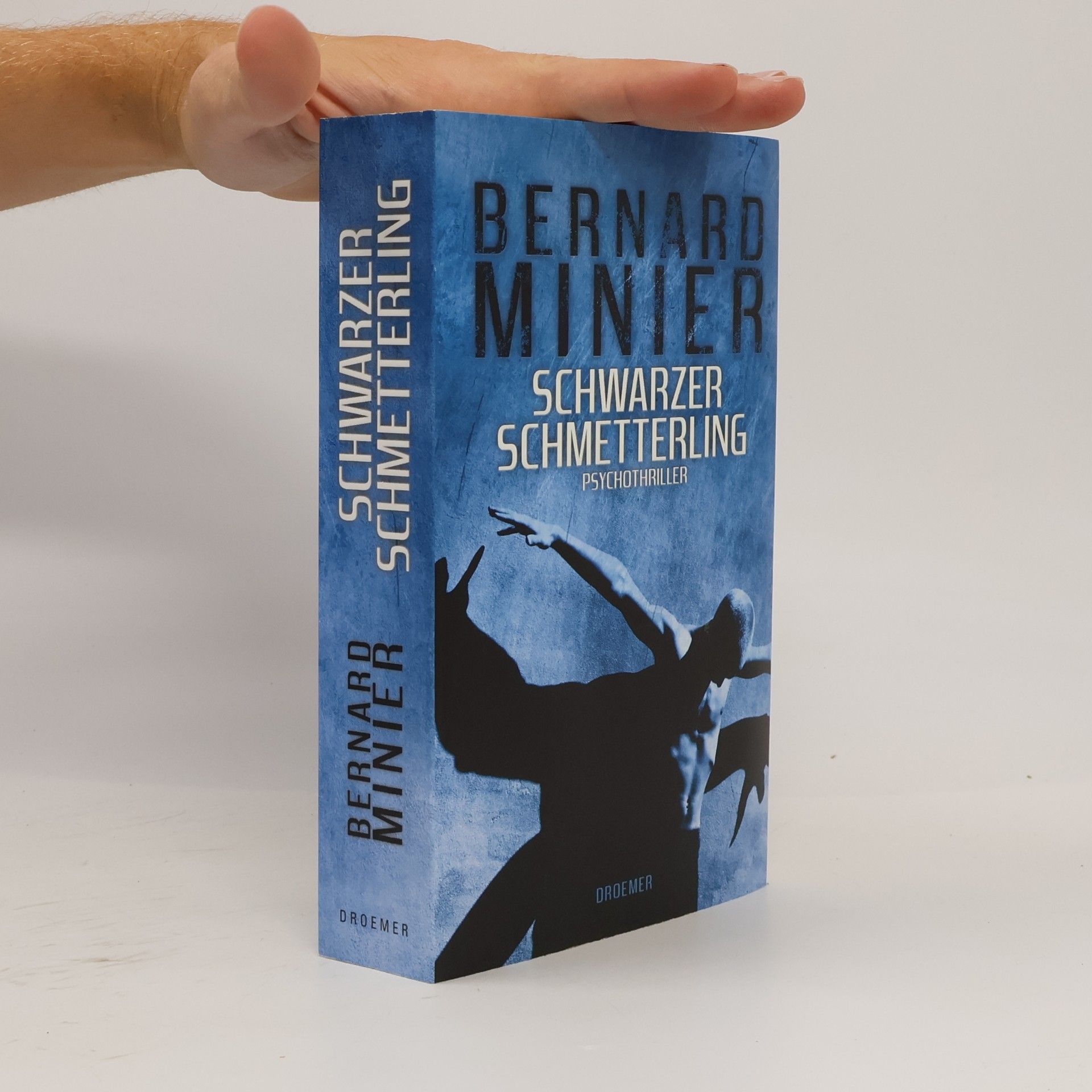 Bernard Minier Schwarzer Schmetterling