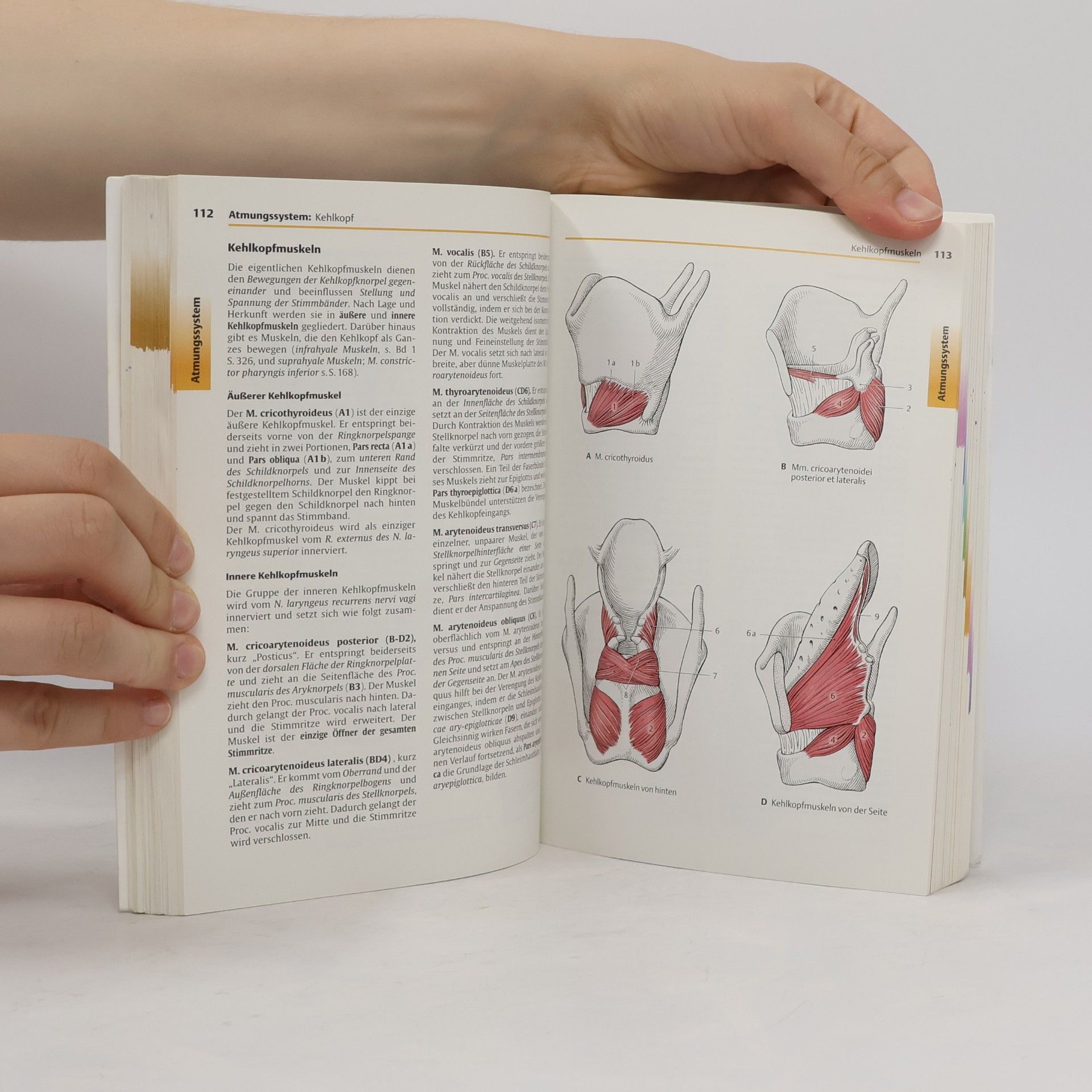 Helga Fritsch Taschenatlas Anatomie