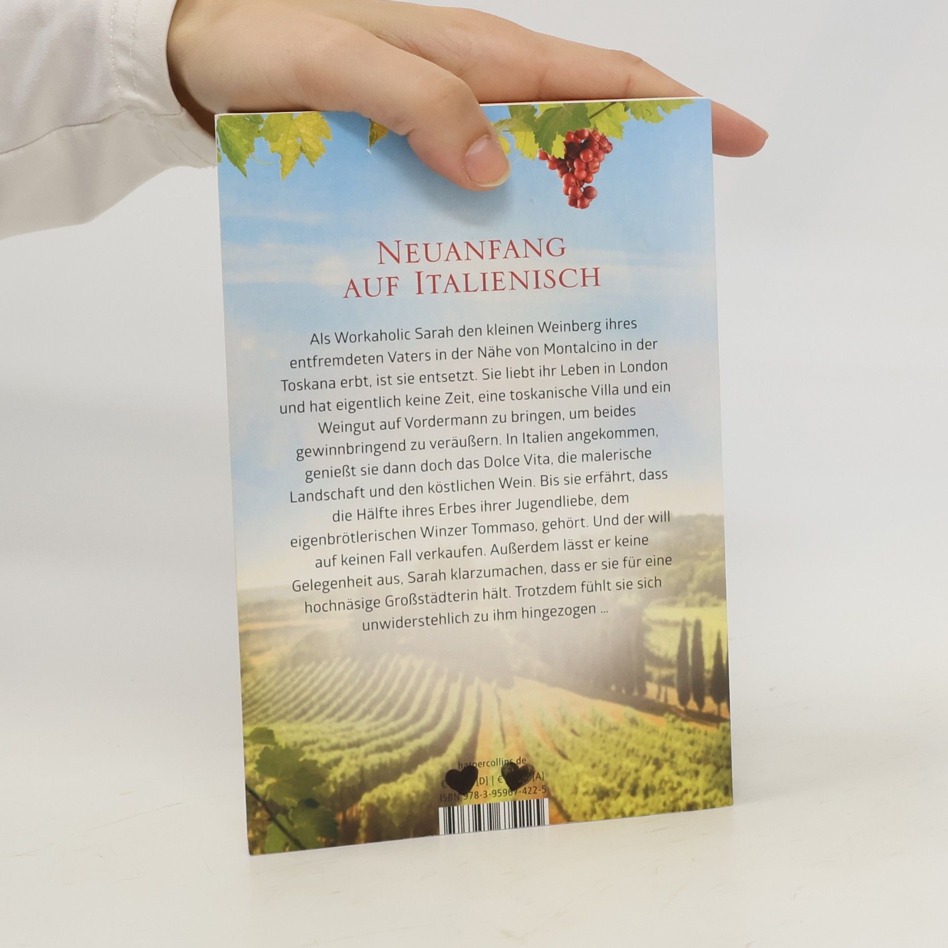 Romy Sommer Das kleine Weingut in der Toskana