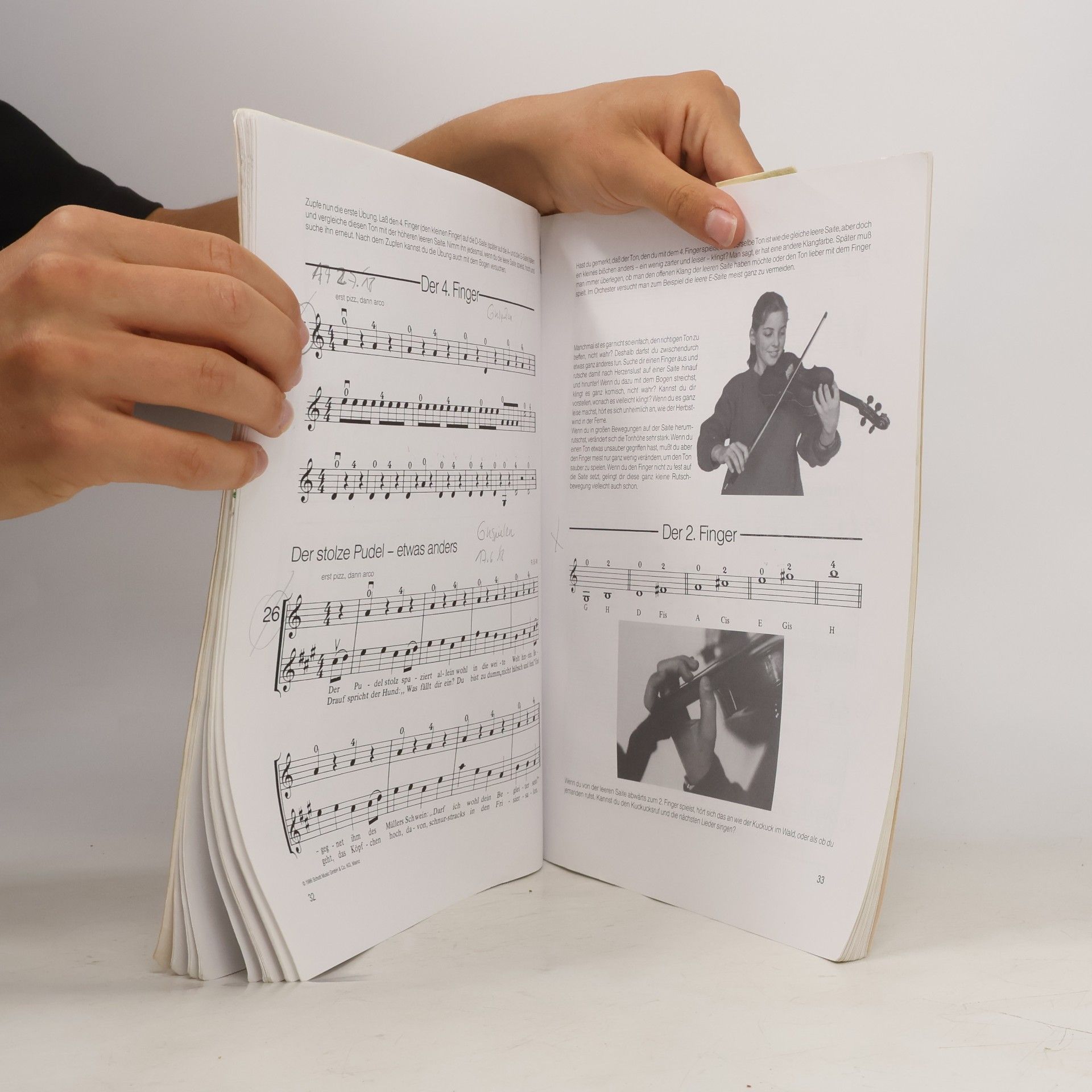Renate Bruce-Weber Die fröhliche Violine
