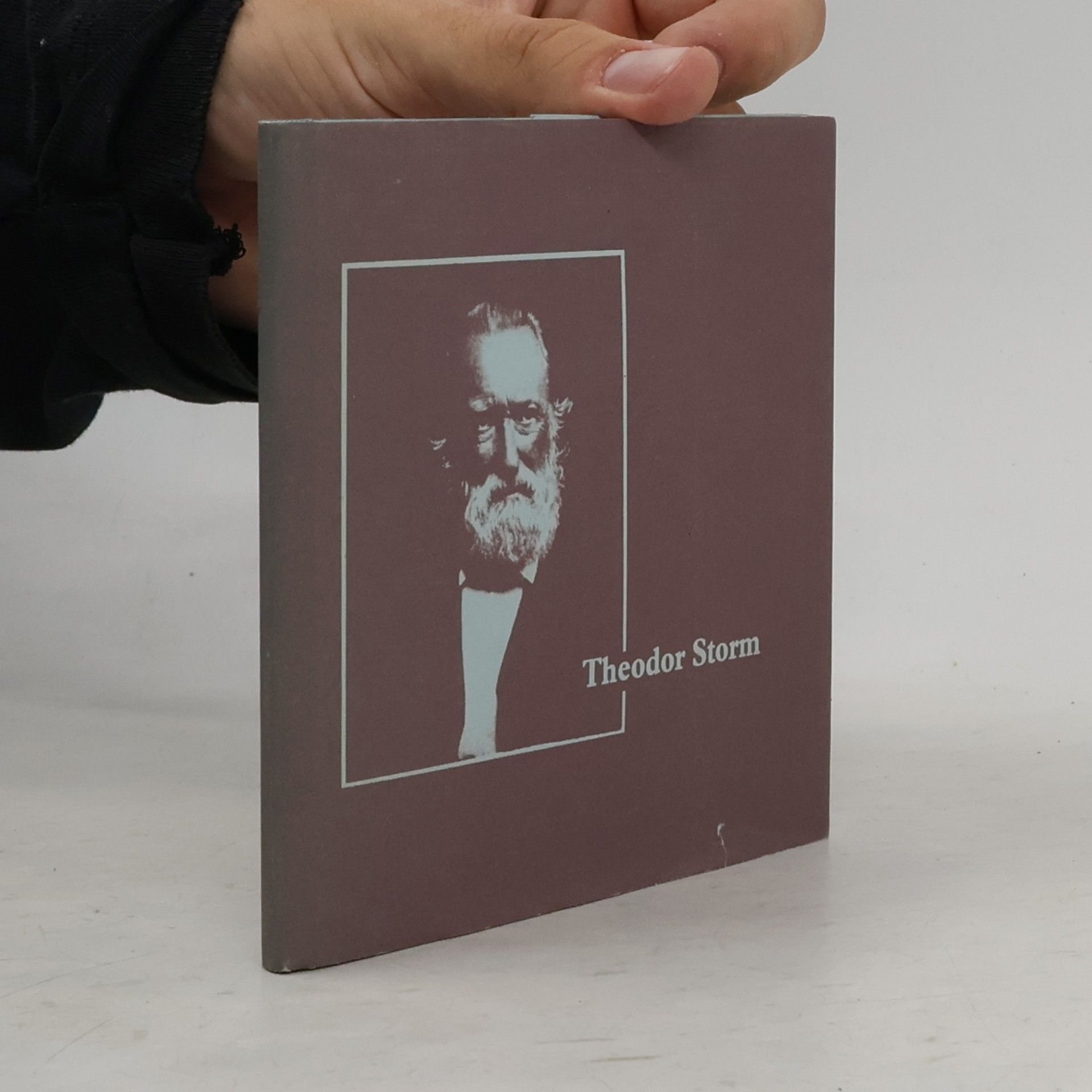 Autorenkollektiv Theodor Storm