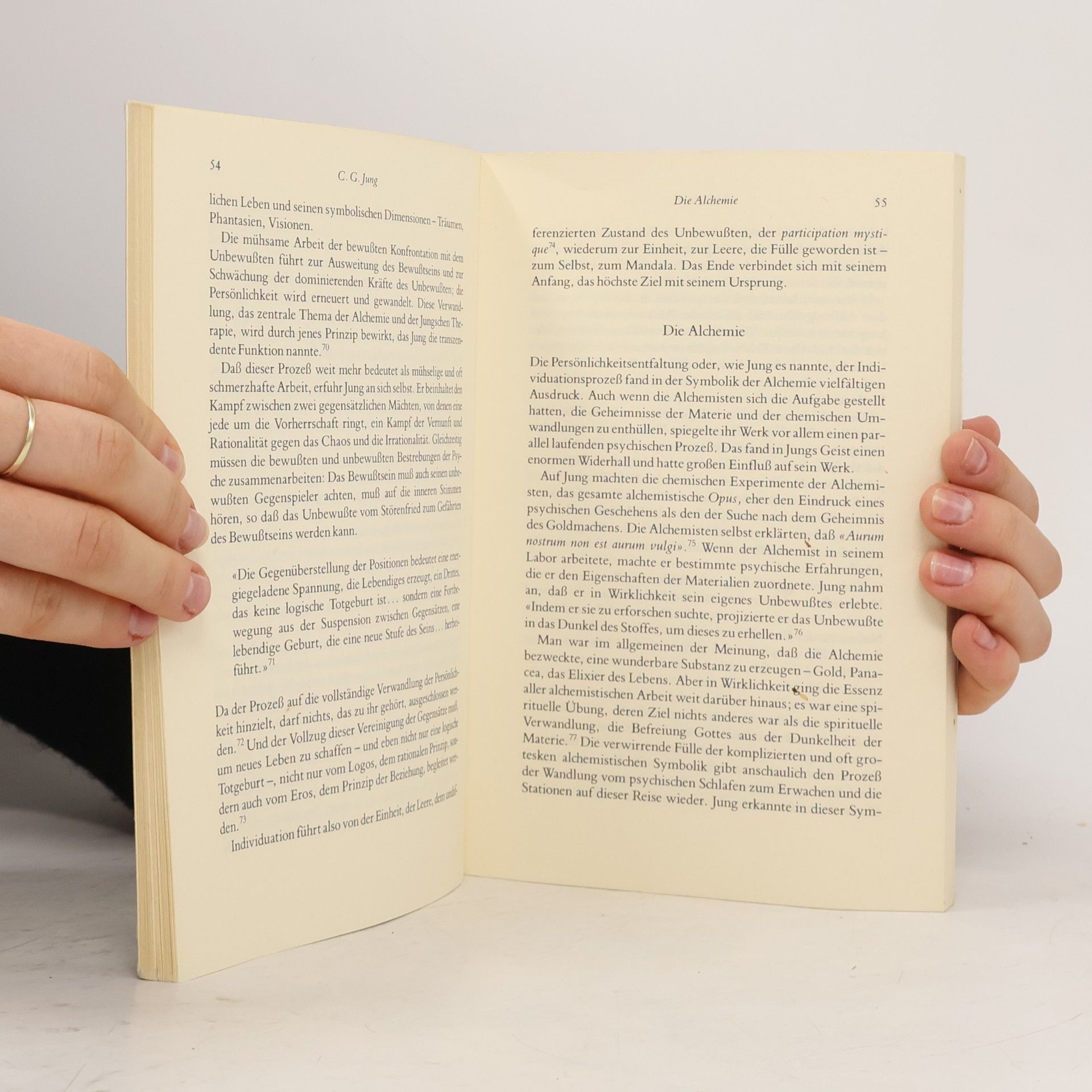 Radmila Moacanin Archetypische Symbole und tantrische Geheimlehren. Der tibetische Buddhismus im Licht der Psychologie C. G. Jungs