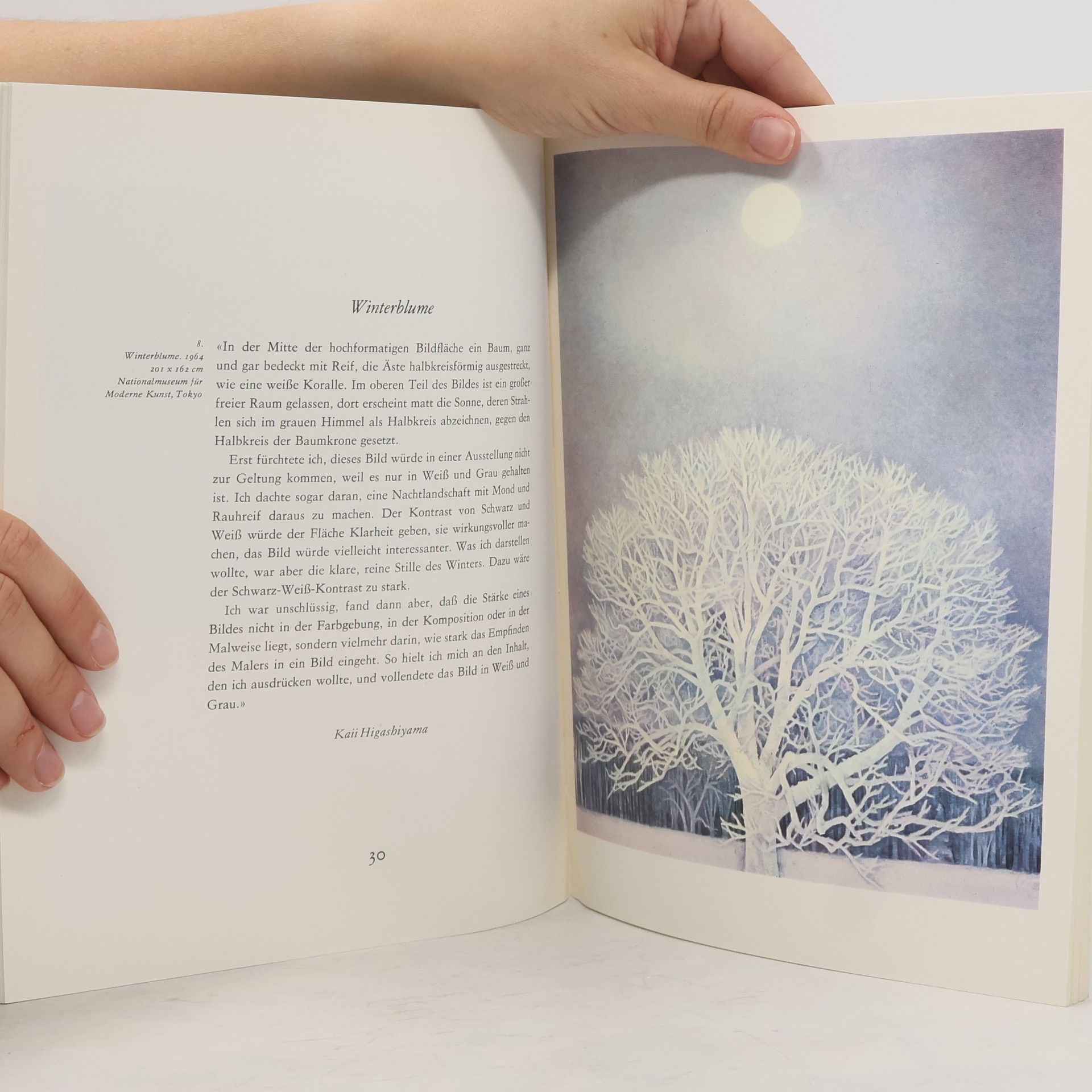Kaii Higashiyama Japan