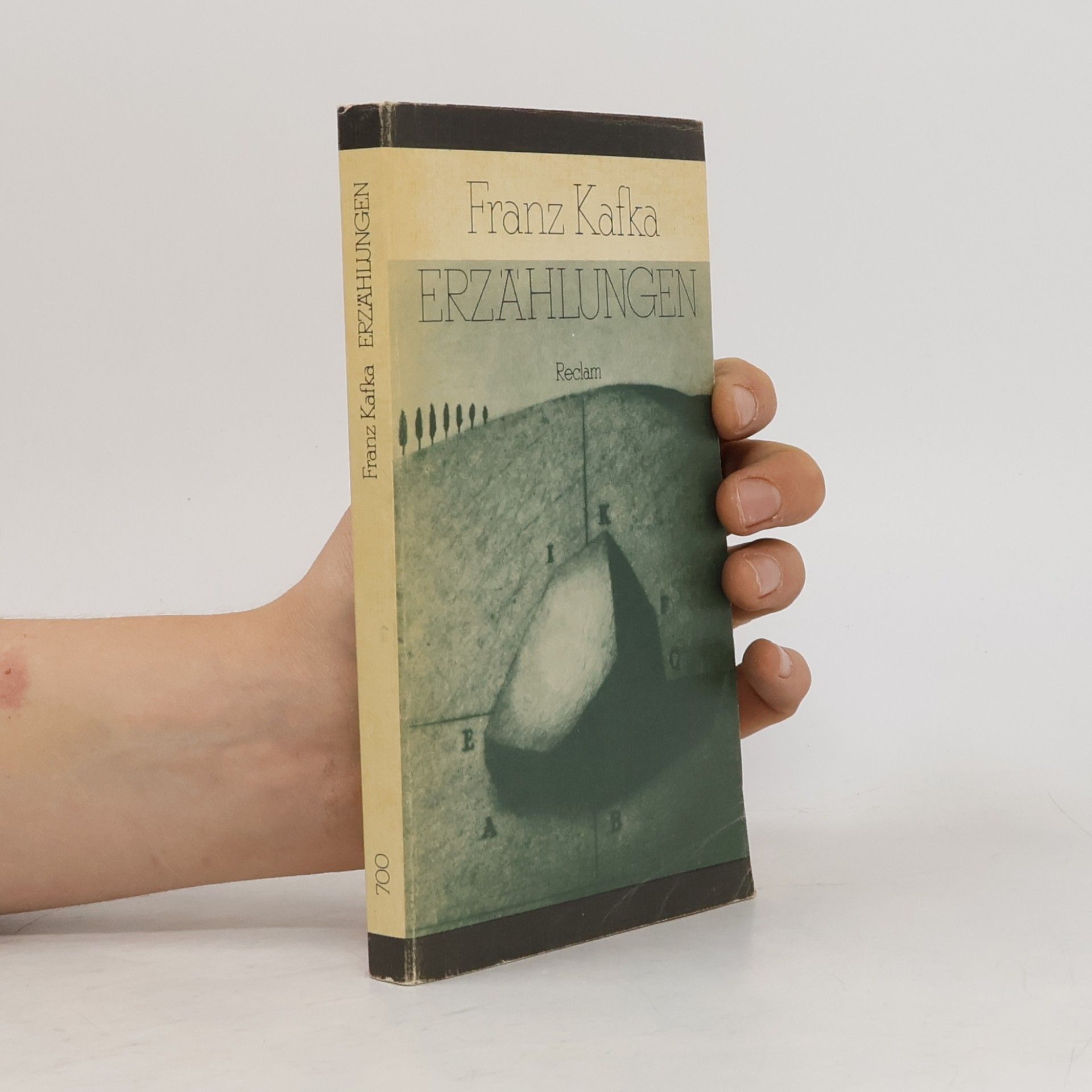Franz Kafka Erzählungen