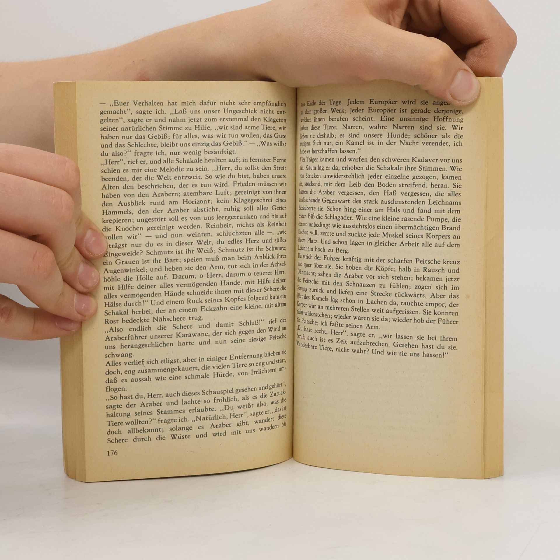 Franz Kafka Erzählungen